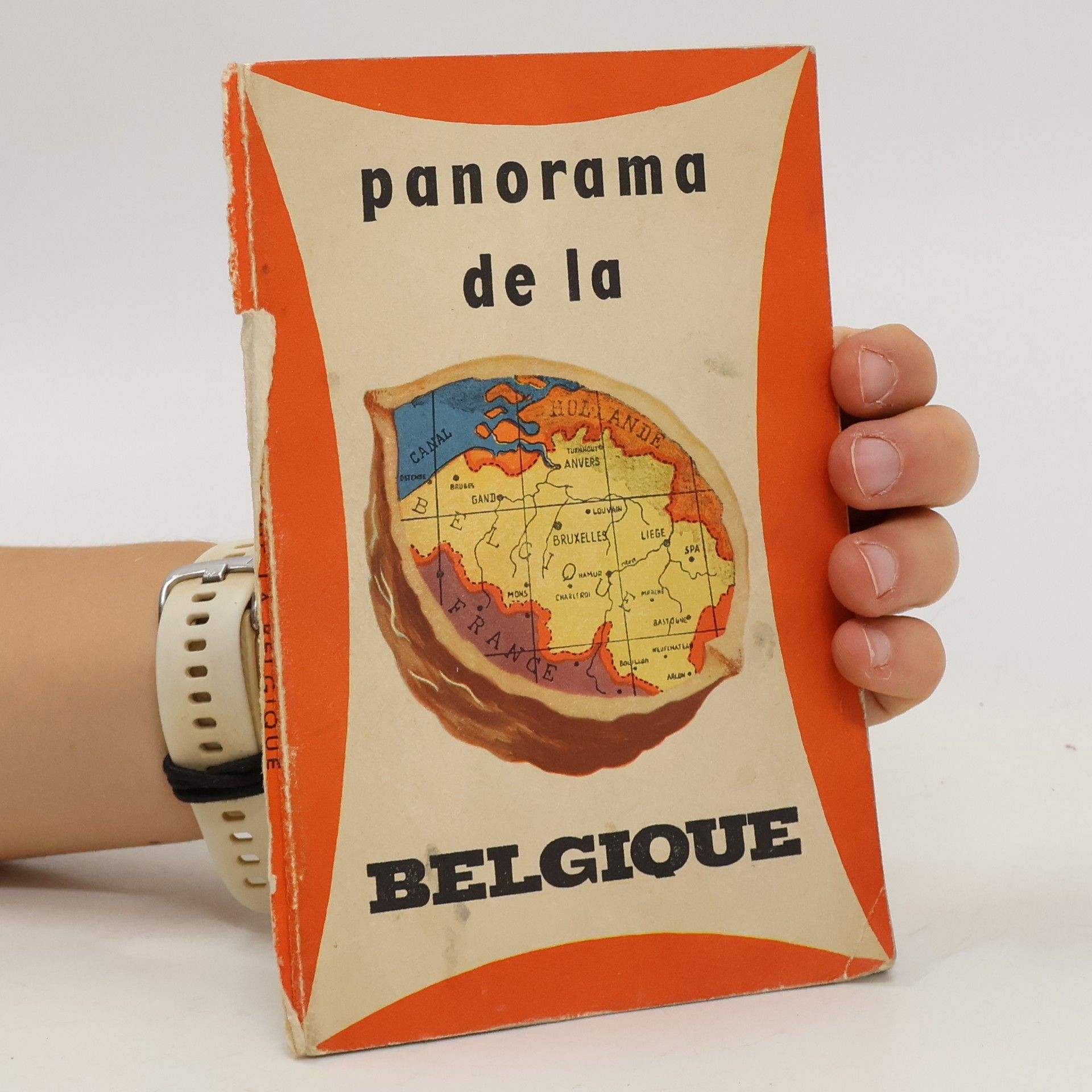 Fernand Desonay Panorama de la Belgique