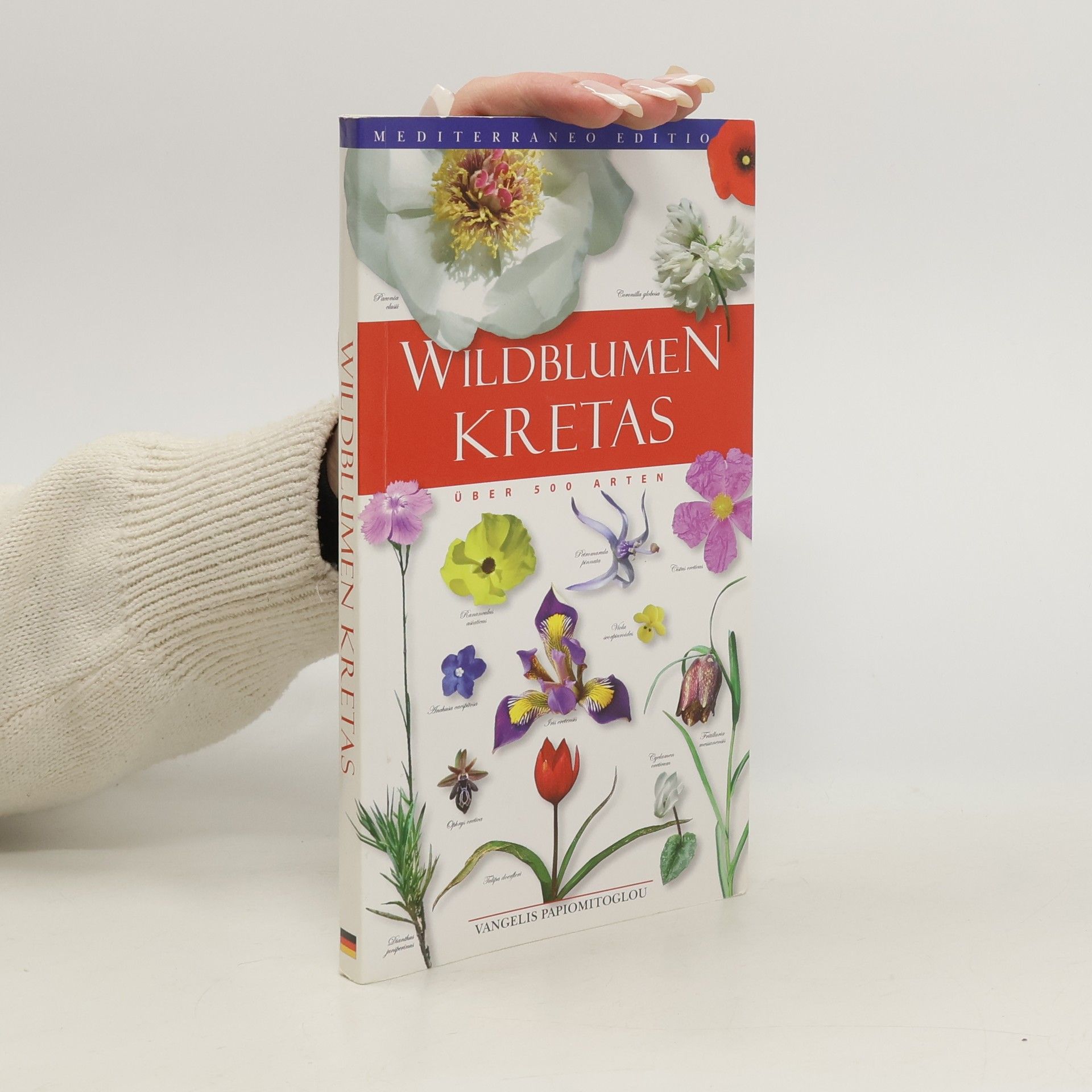 Vangelis Papiomytoglou Wildblumen Kretas