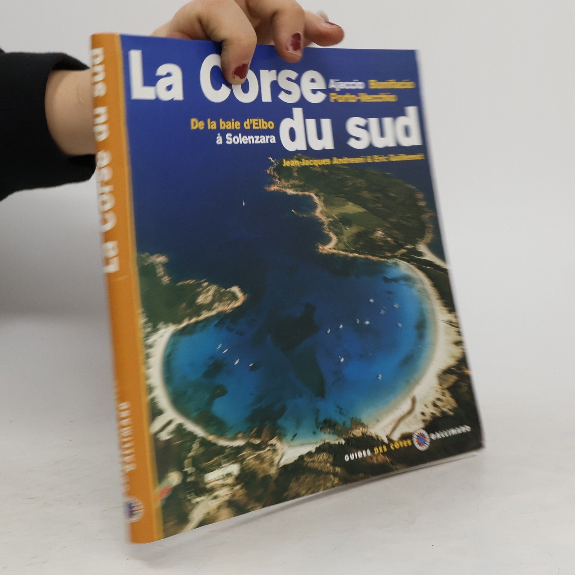 Jean-Jacques Andreani La Corse-du-Sud