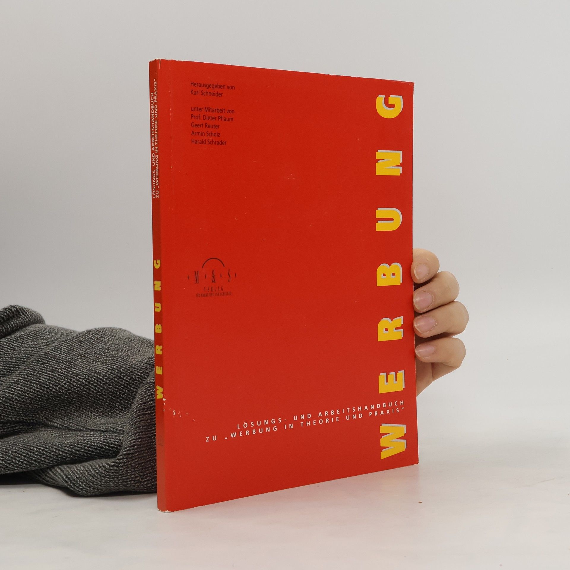 Autores varios Werbung in Theorie und Praxis