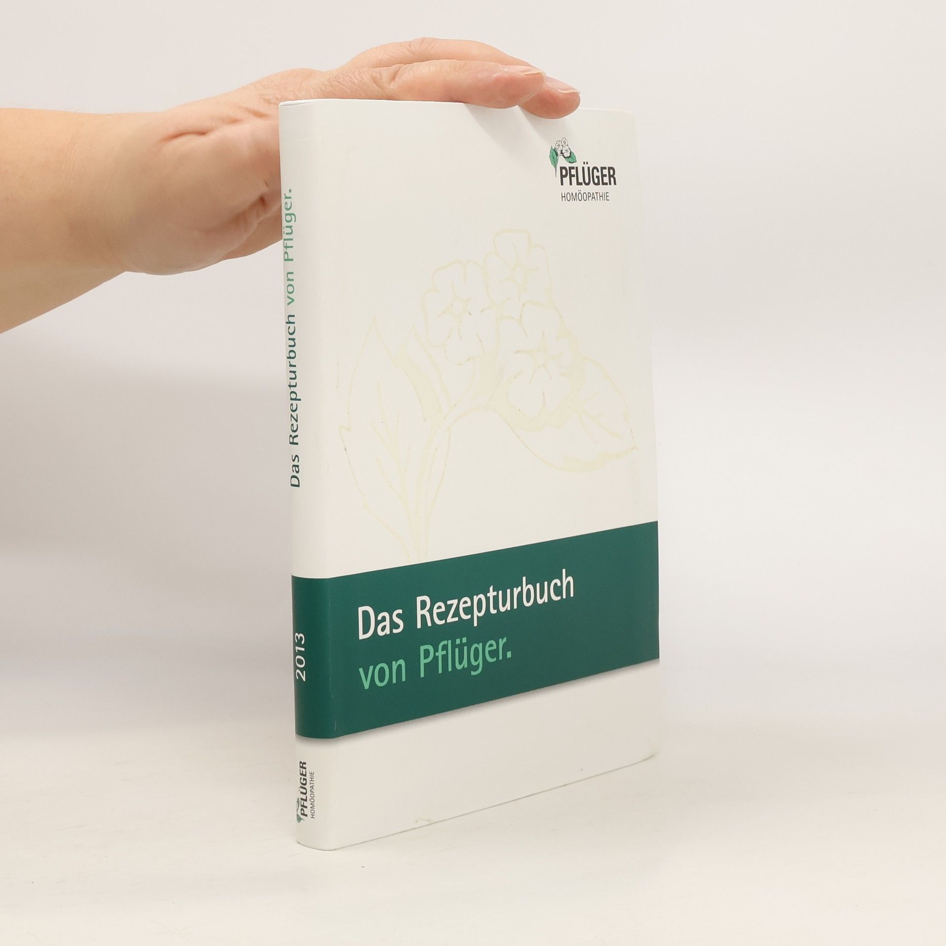 Autorenkollektiv Das Rezepturbuch von Pflüger