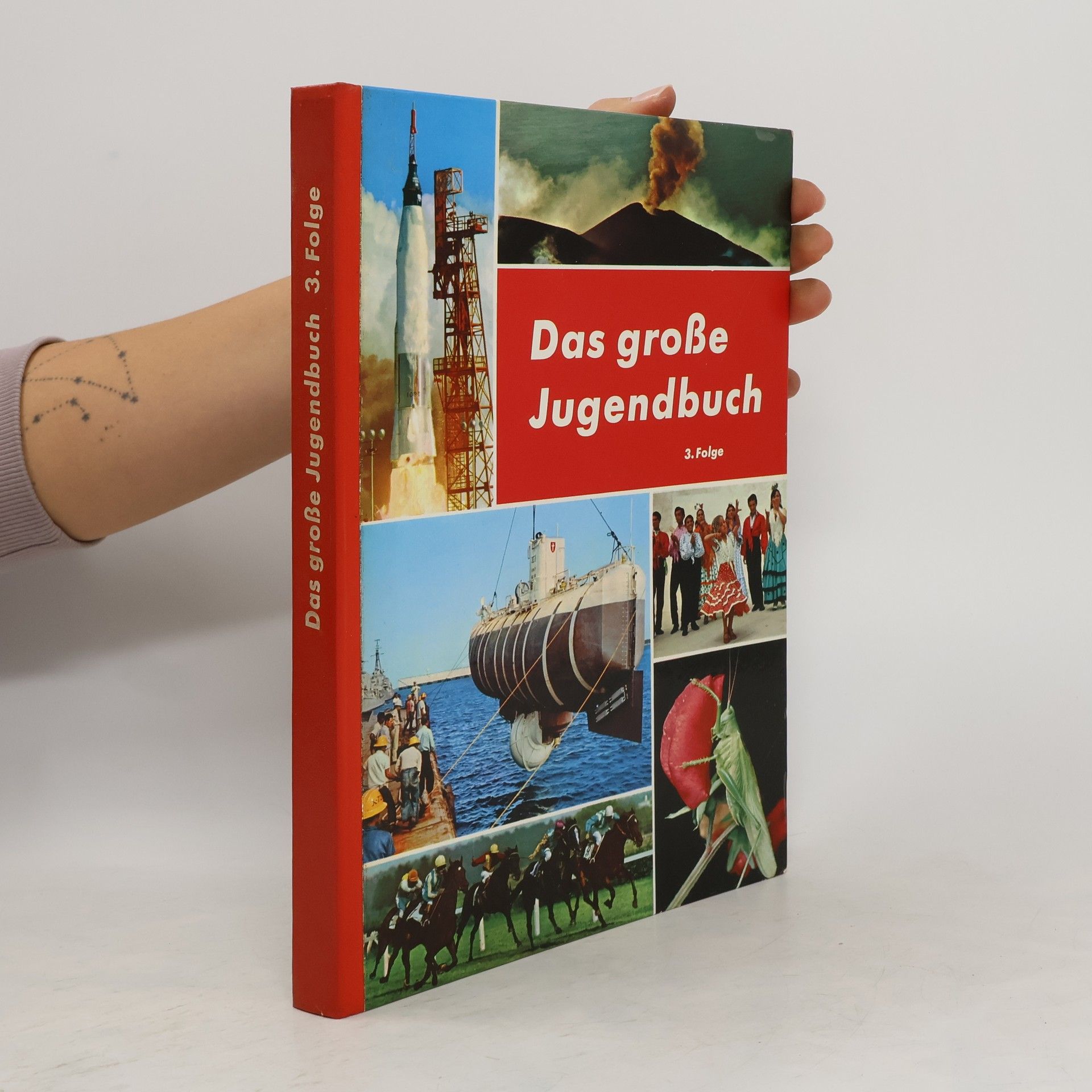 kolektiv Das grosse Jugendbuch. 3. Folge