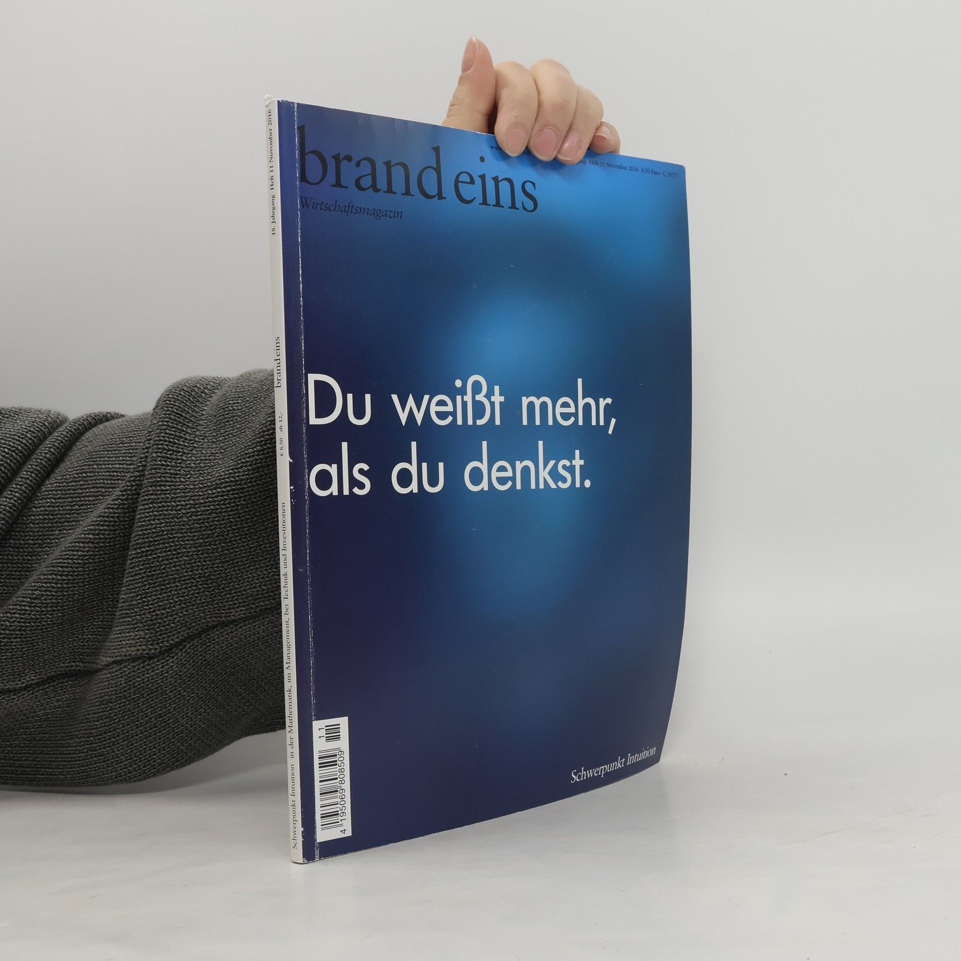 kolektiv Brand eins 11/2016