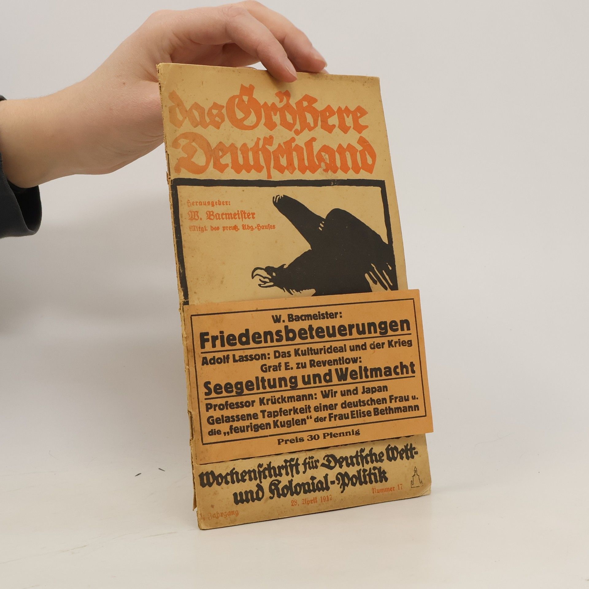 W. Bacmeister Das Größere Deutschland 17/1917