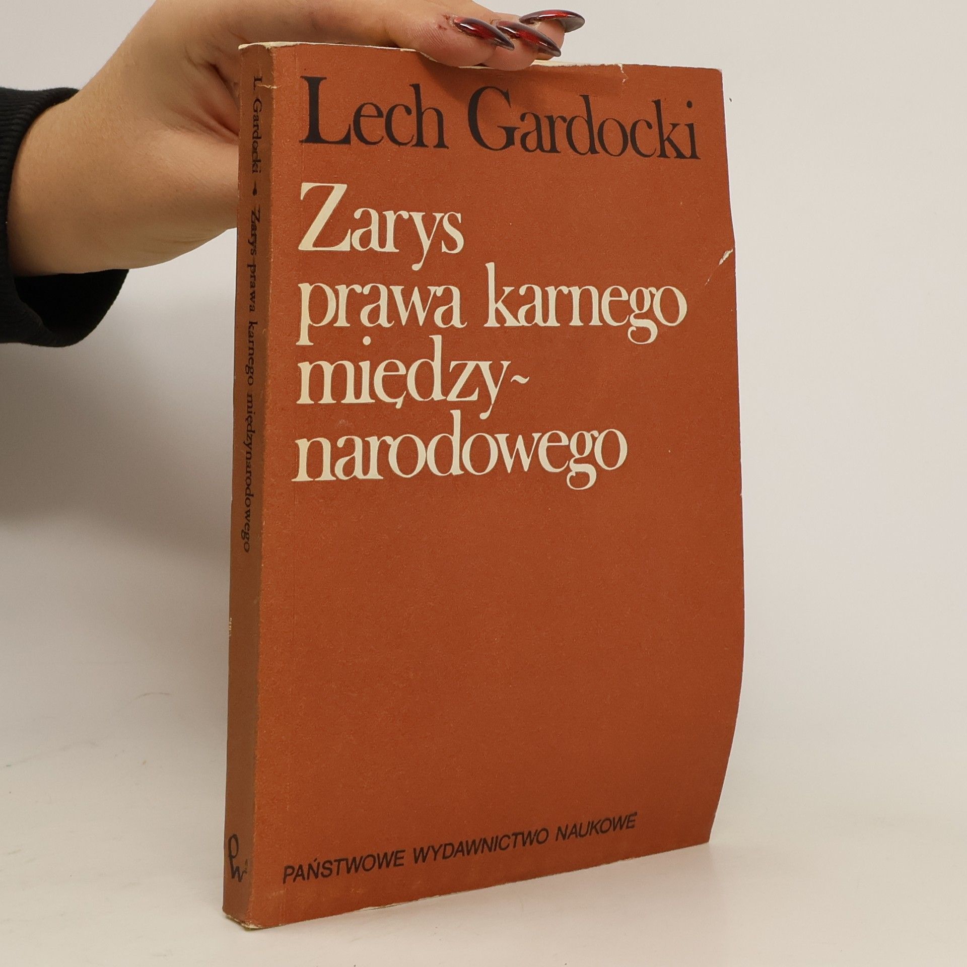 Lech Gardocki Zarys prawa karnego międzynarodowego