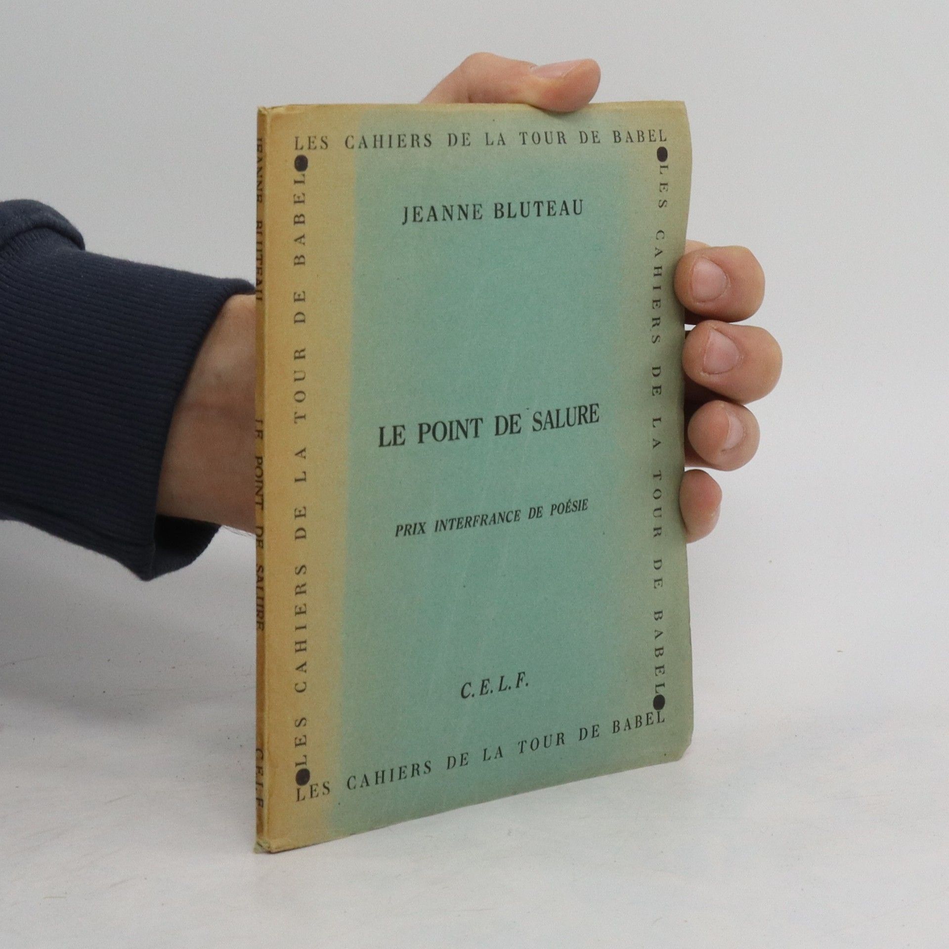 Jeanne Blutea Le Point de Salure