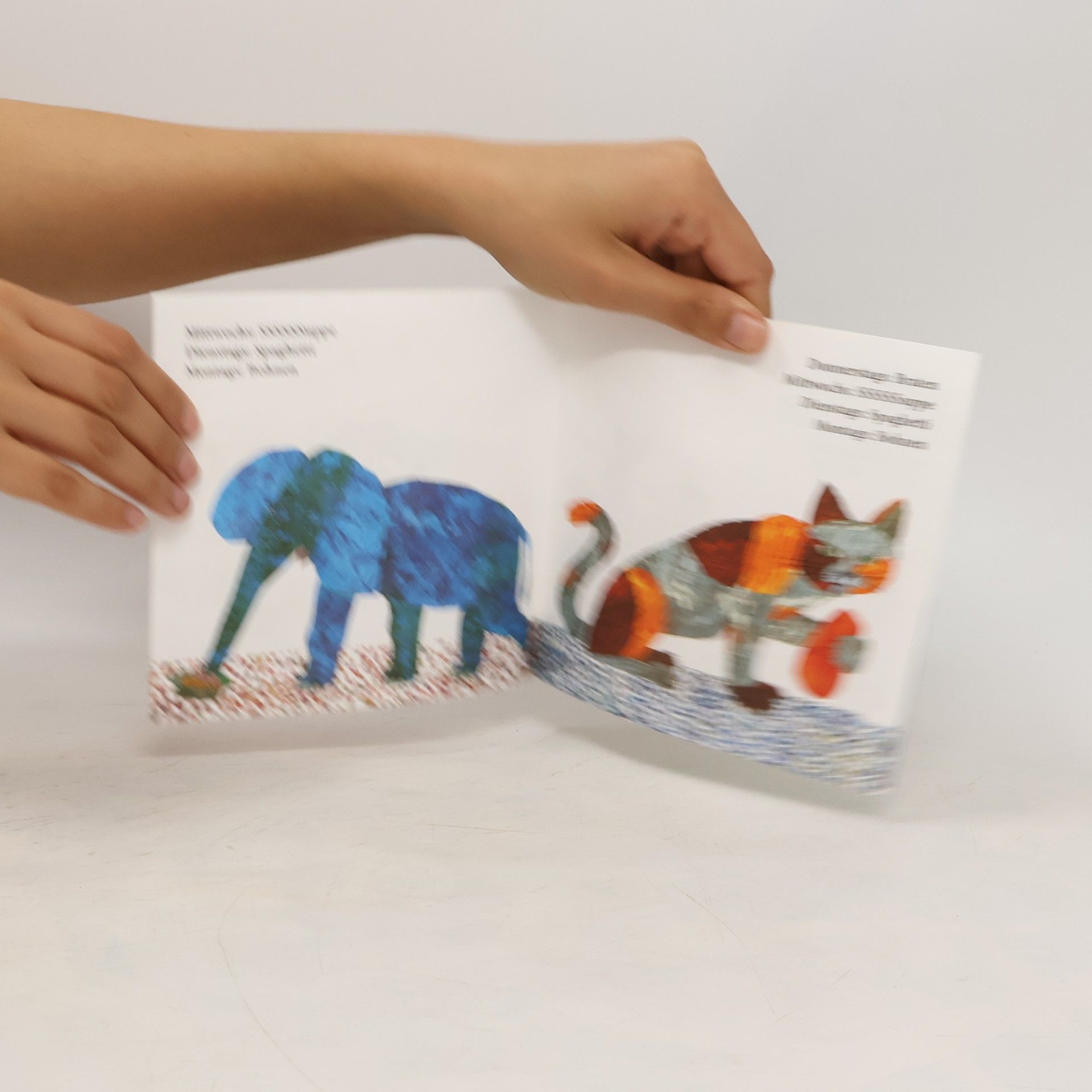 Eric Carle Und heut ist Montag