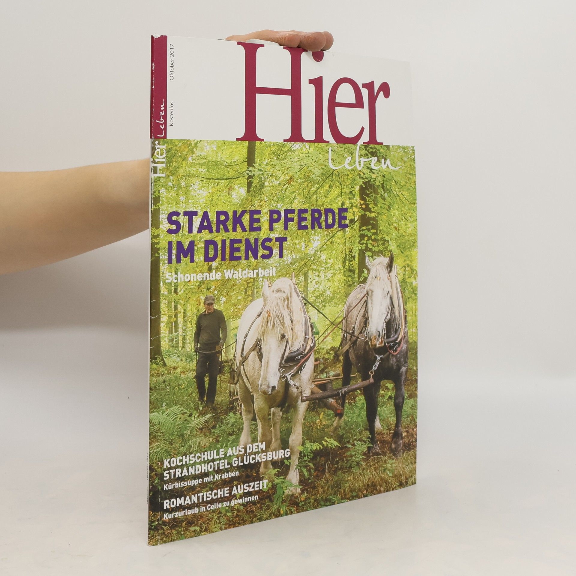 Autorenkollektiv Hier Leben 10/2017