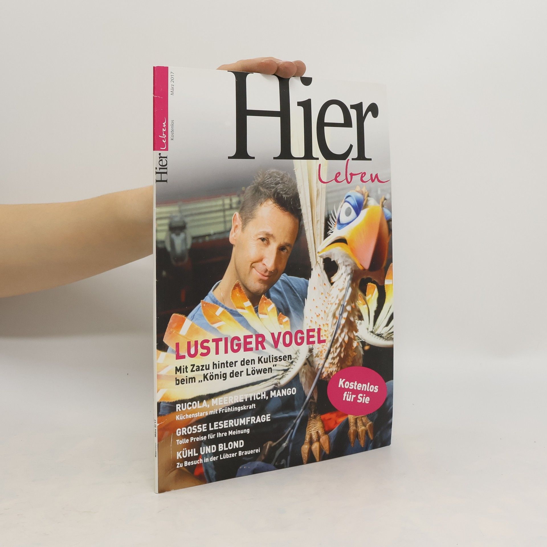 Autorenkollektiv Hier 3/2017