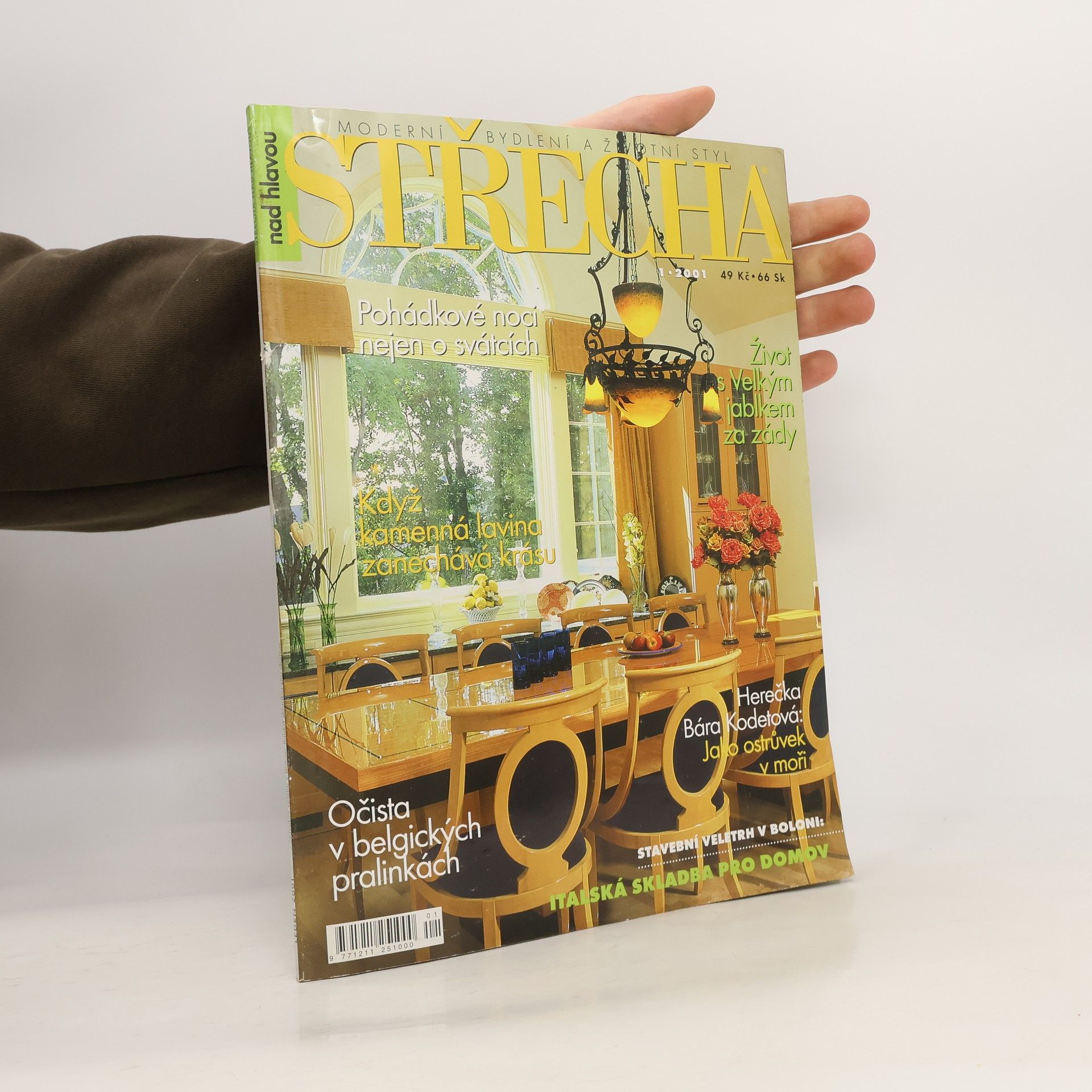 Autorenkollektiv Střecha nad hlavou 1/2001