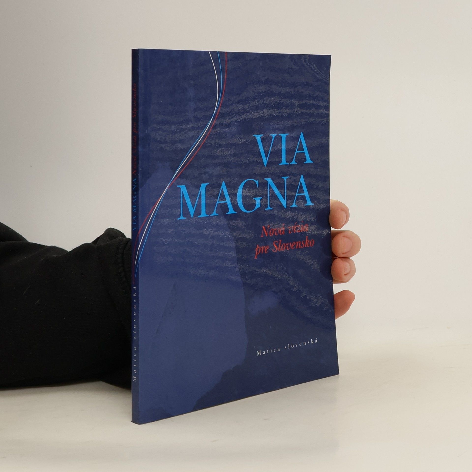 Collectif d'auteurs Via magna. Nová vízia pre Slovensko