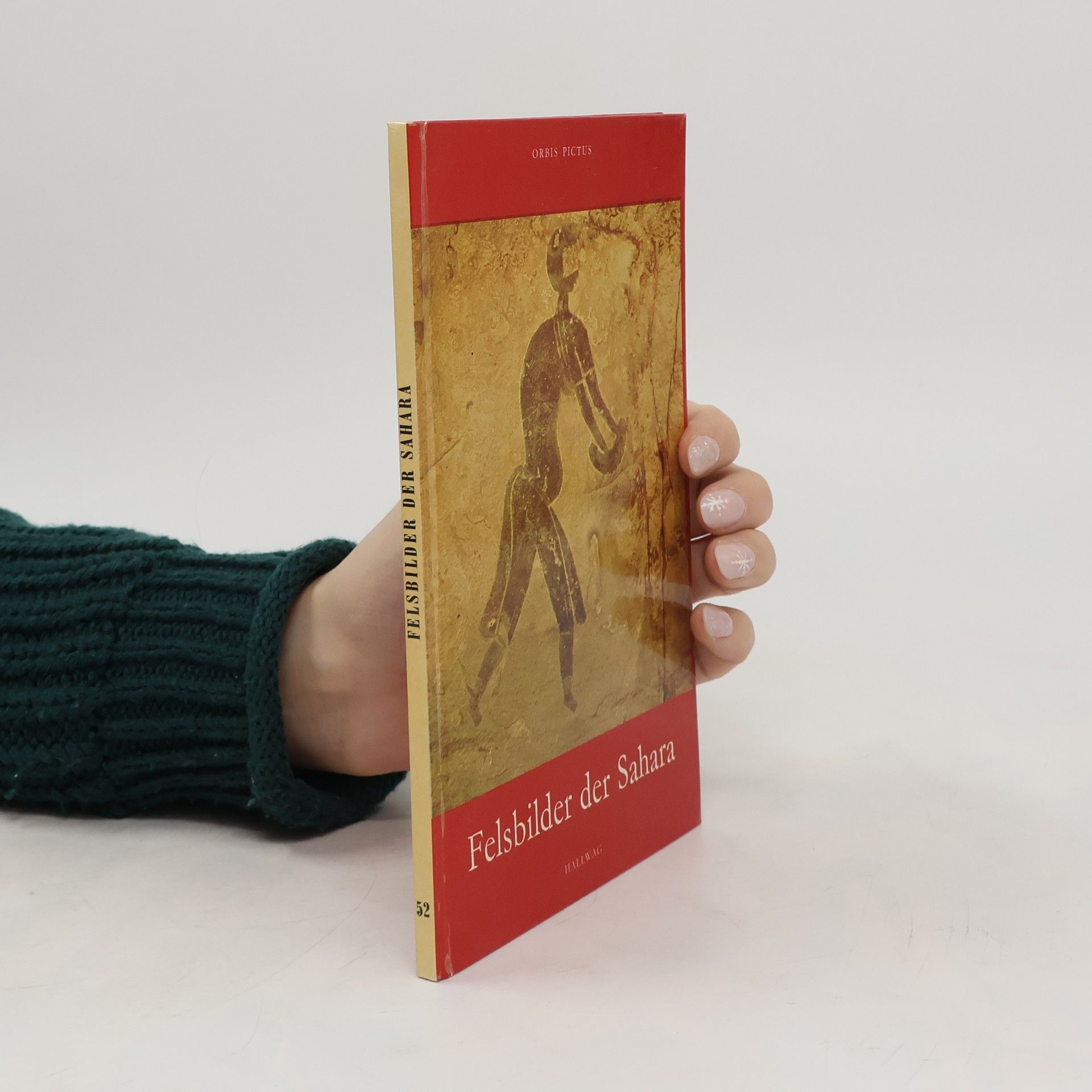 Autorenkollektiv Felsbilder der Sahara