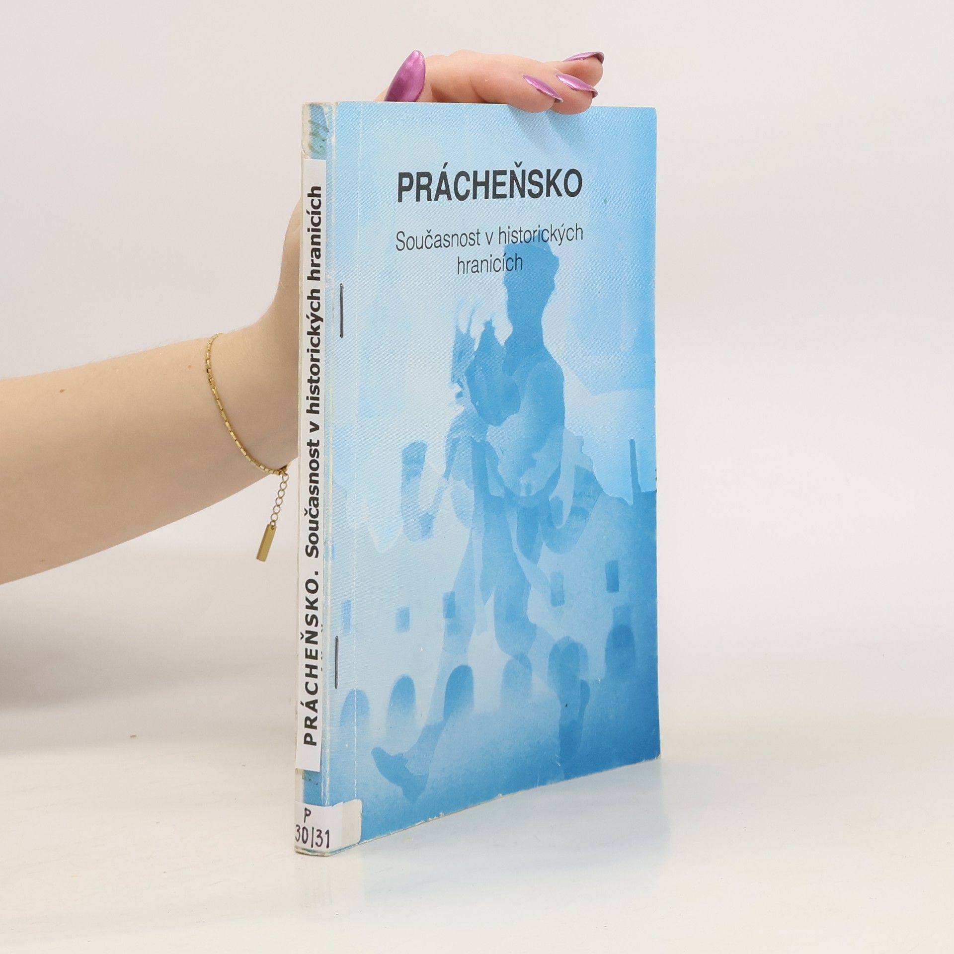 Jana Nečekalová Prácheňsko. Současnost v historických hranicích