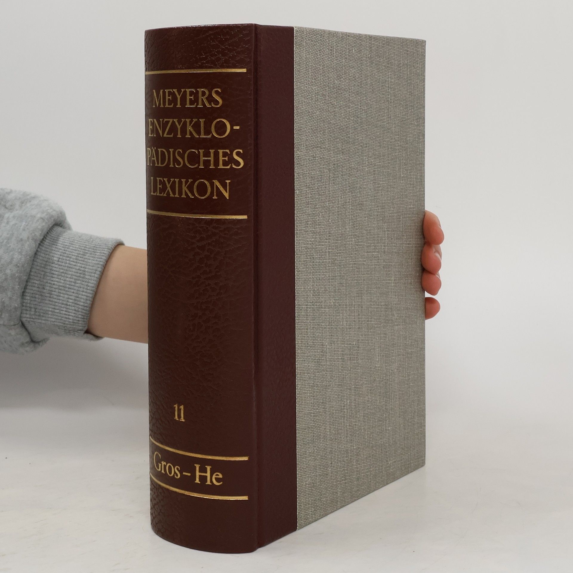 Collectif d'auteurs Meyers Enzyklopädisches Lexikon in 25 Bänden. Band 11. Gros-He