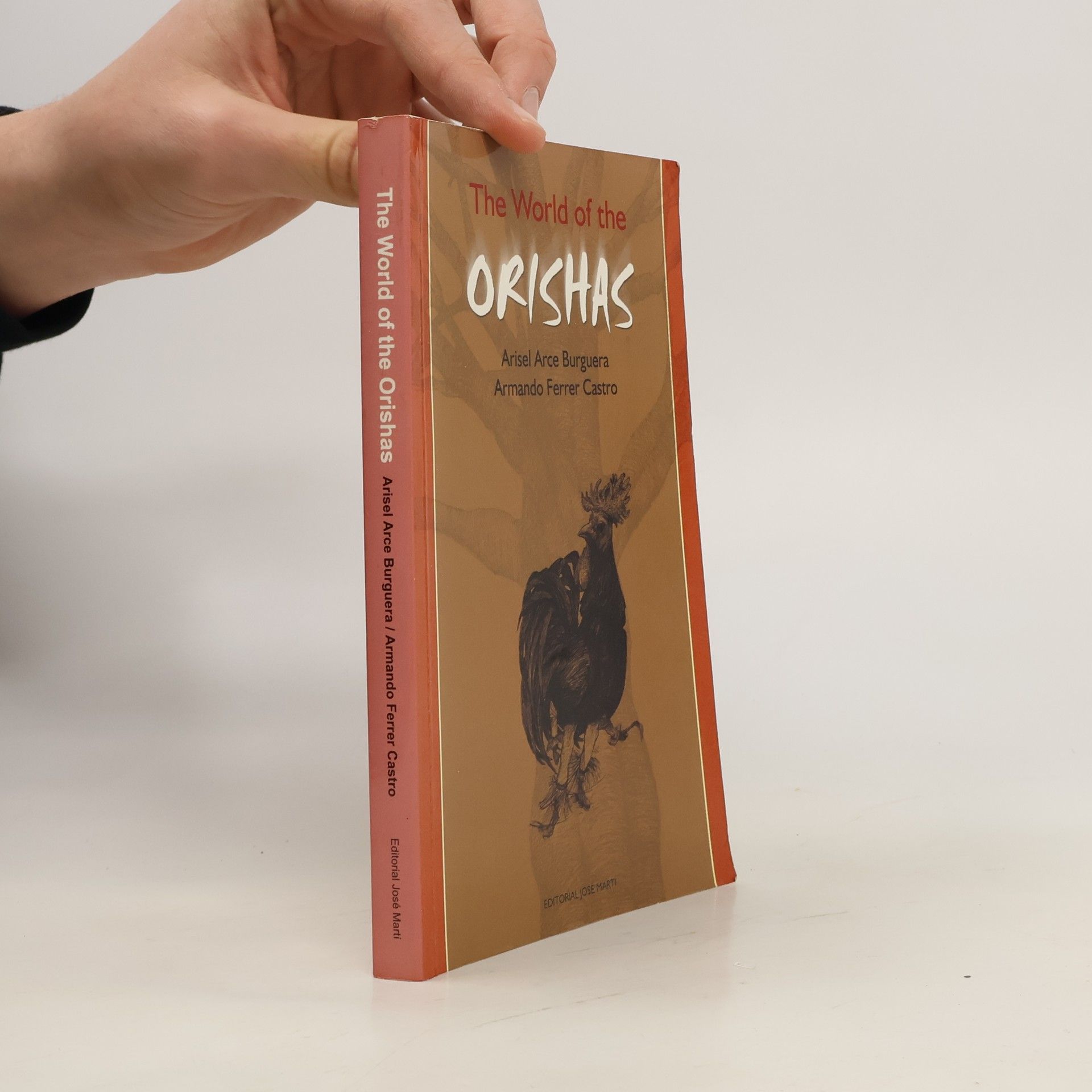 Collectif d'auteurs The World of the Orishas