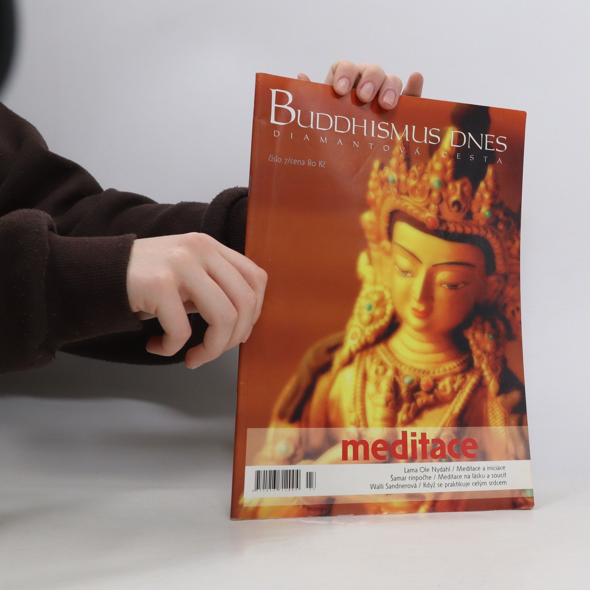 AA.VV. Buddhismus Dnes 7