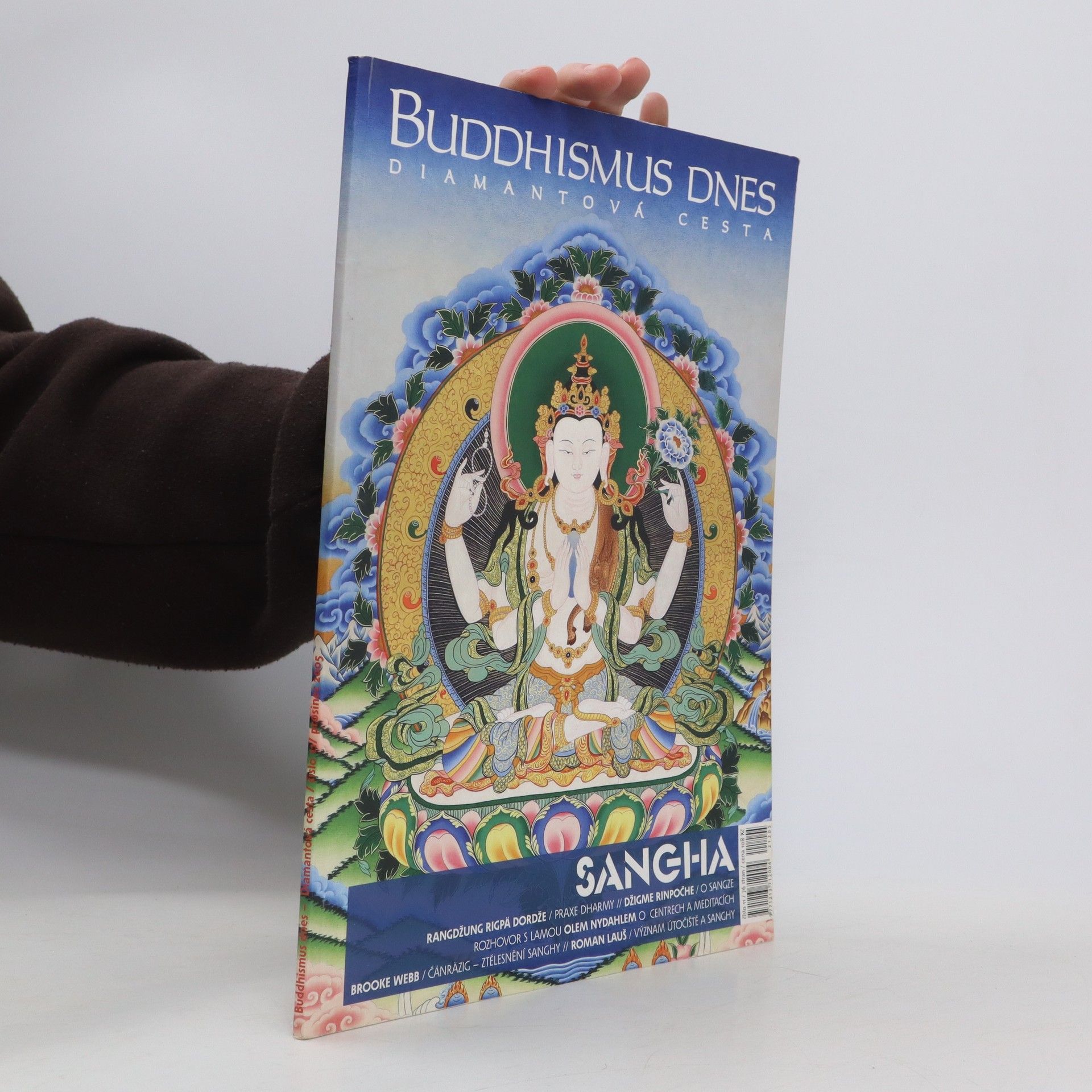 AA.VV. Buddhismus dnes. 12/2005