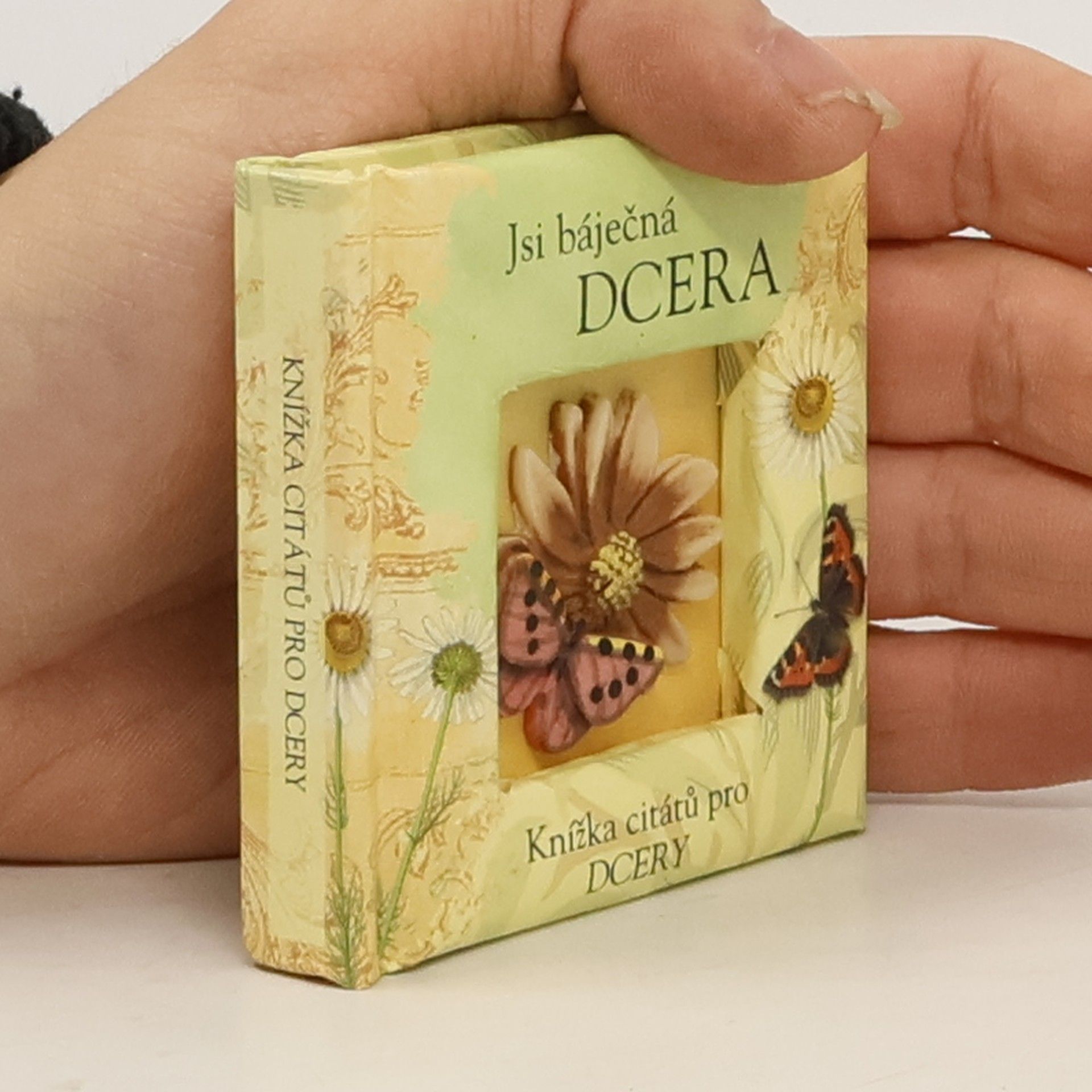 Kolektív autorov Jsi báječná dcera