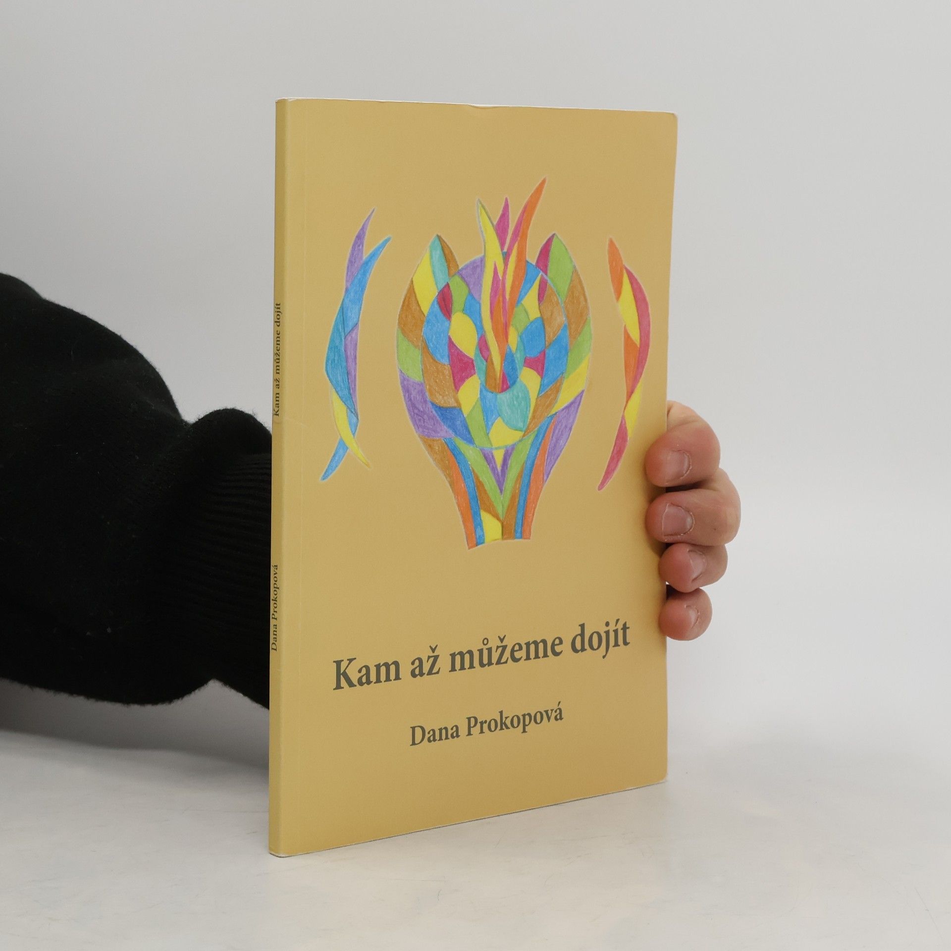 Dana Prokopová Kam až můžeme dojít