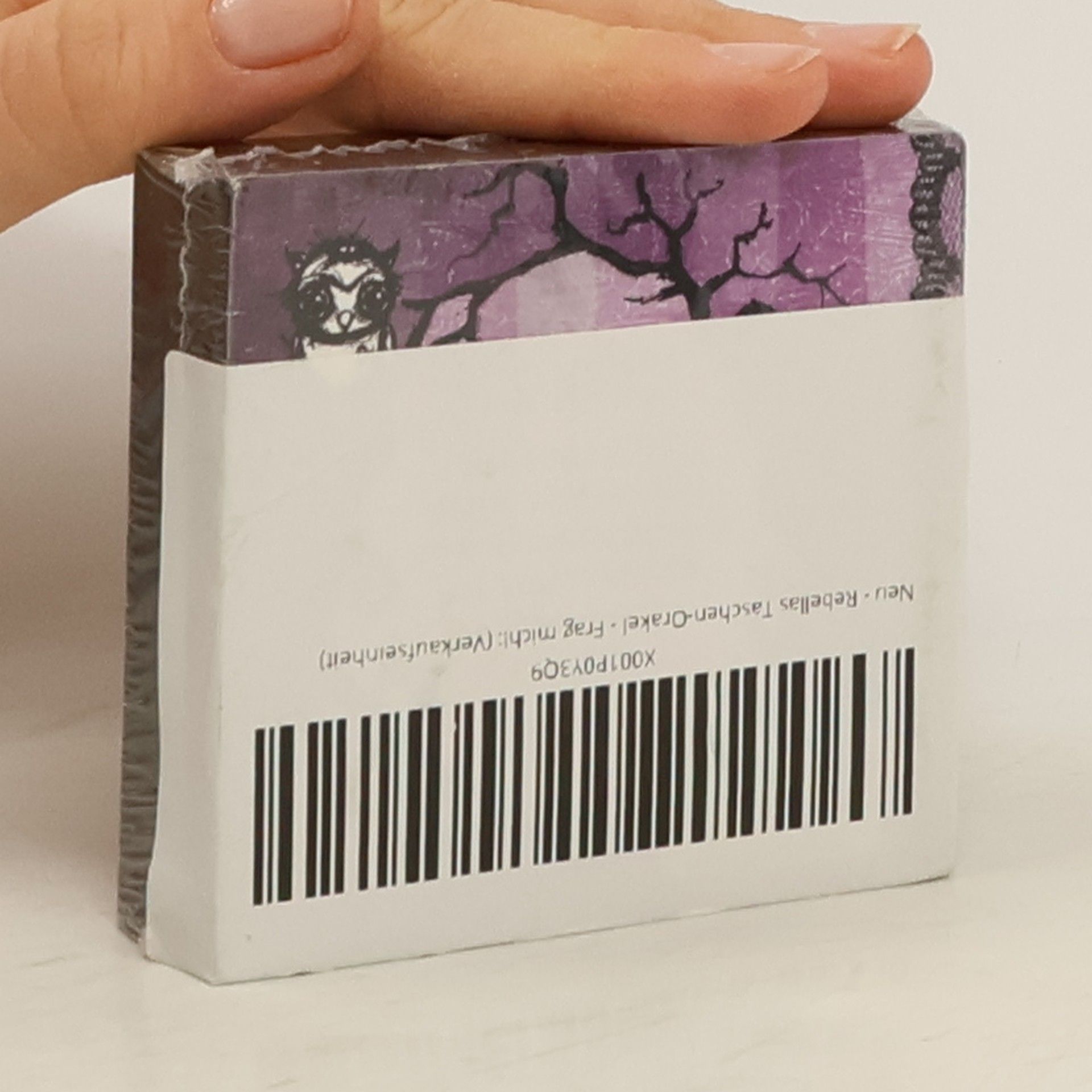 kolektiv Frag mich!