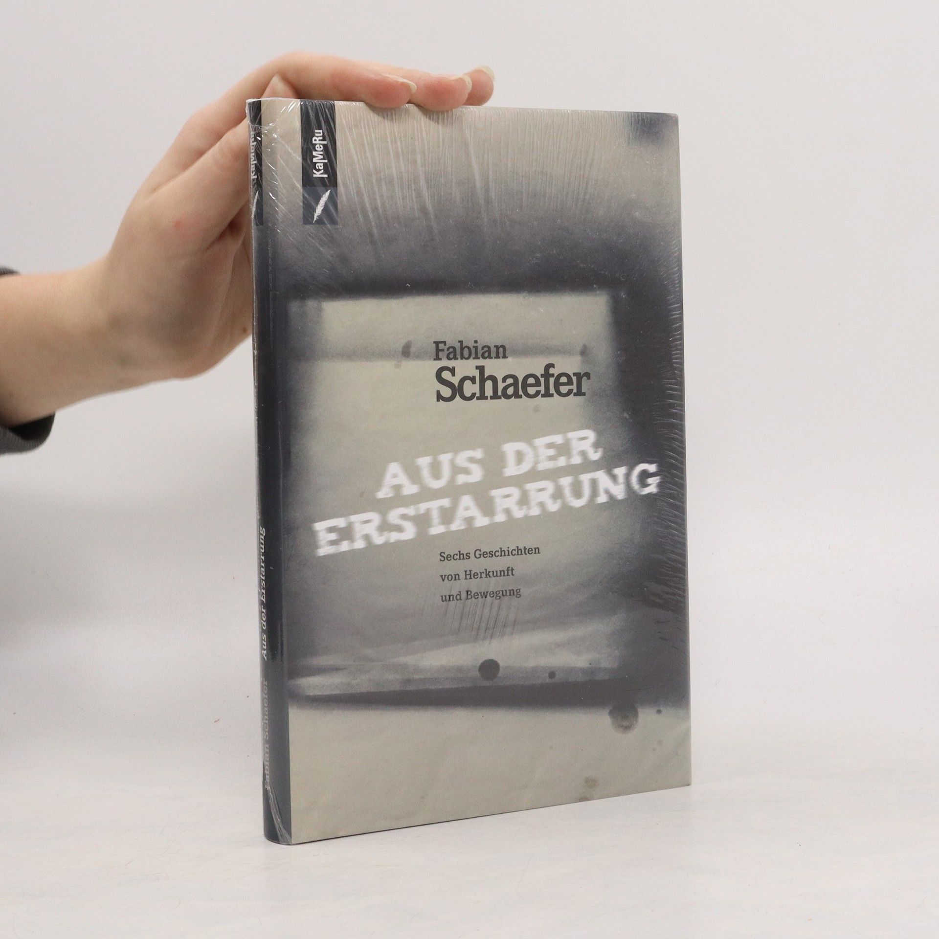 Fabian Schaefer Aus der Erstarrung