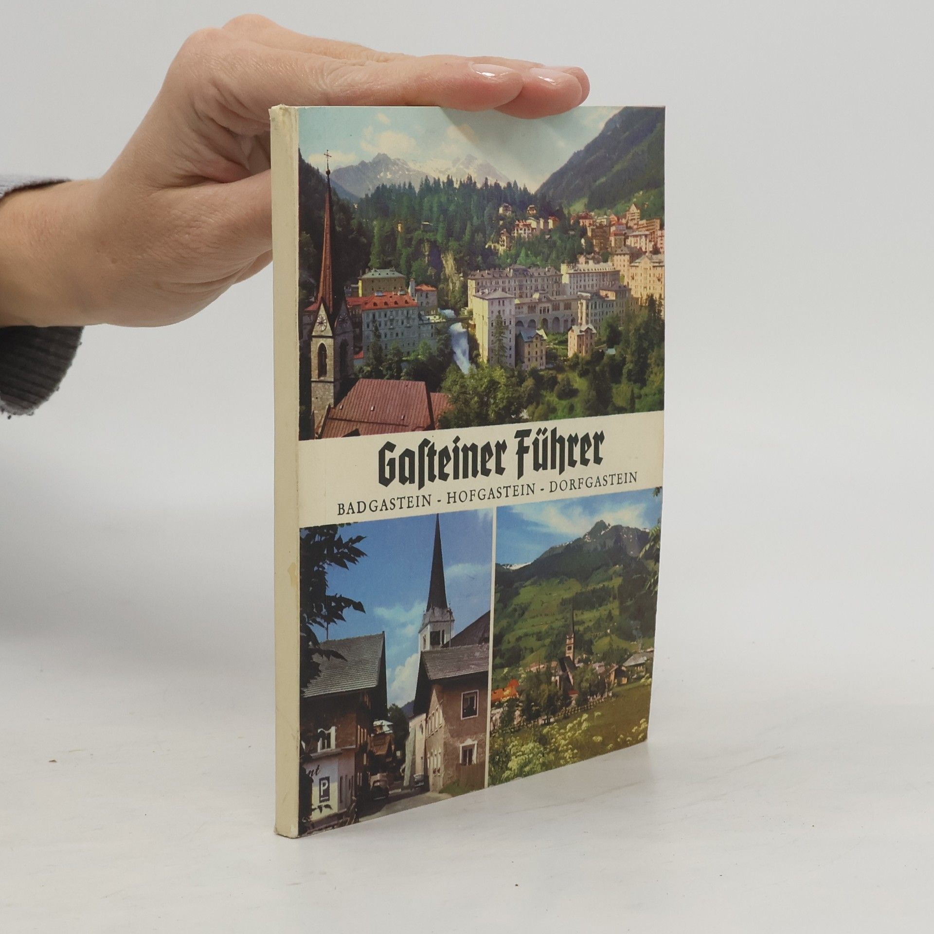 AA.VV. Gasteiner Führer