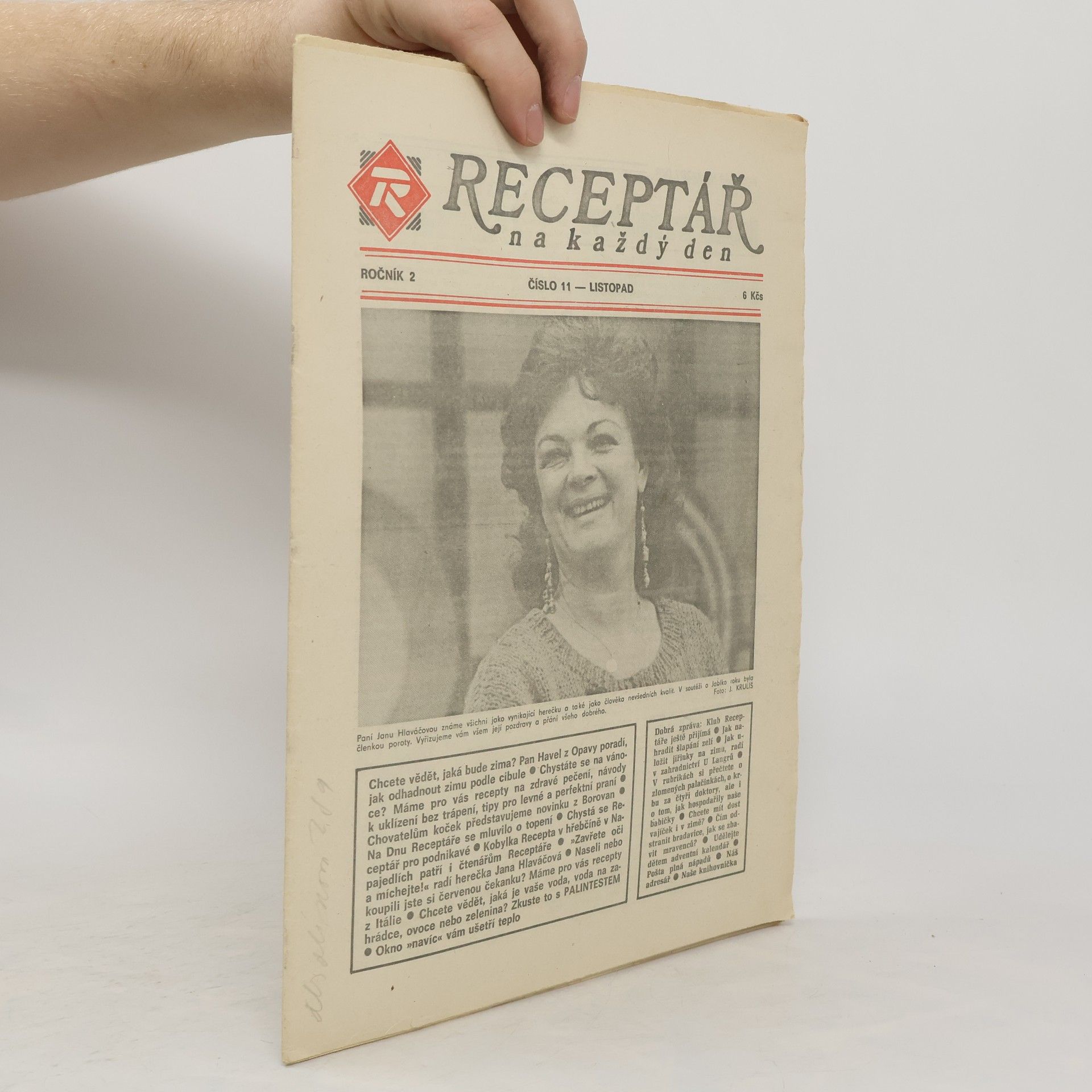 Kolektiv autorů Receptář na každý den 11/1991