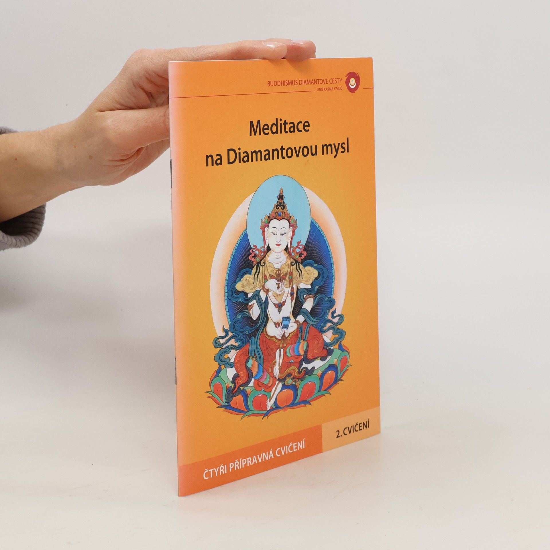 Auteurscollectief Meditace na Diamantovou mysl 2.cvičení