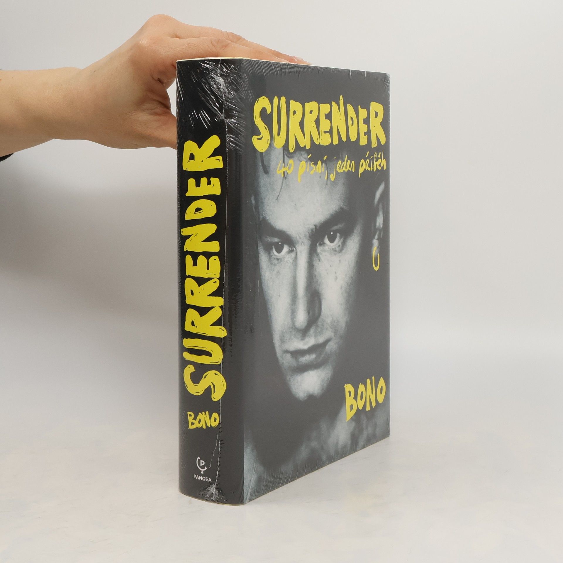 Bono Surrender : 40 písní, jeden příběh