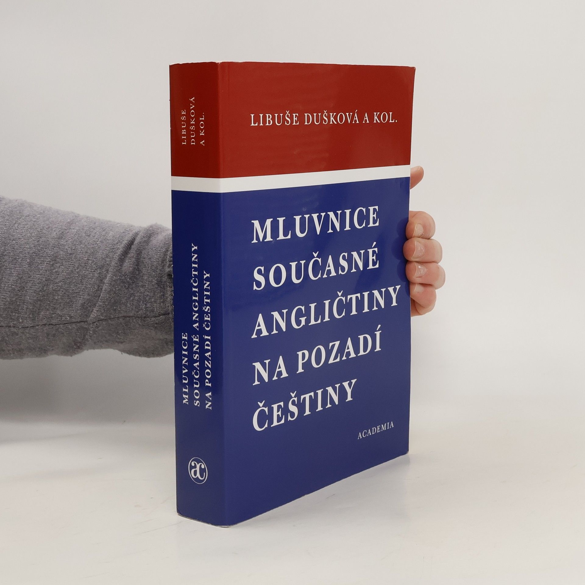 Kolektiv autorů Mluvnice současné angličtiny na pozadí češtiny