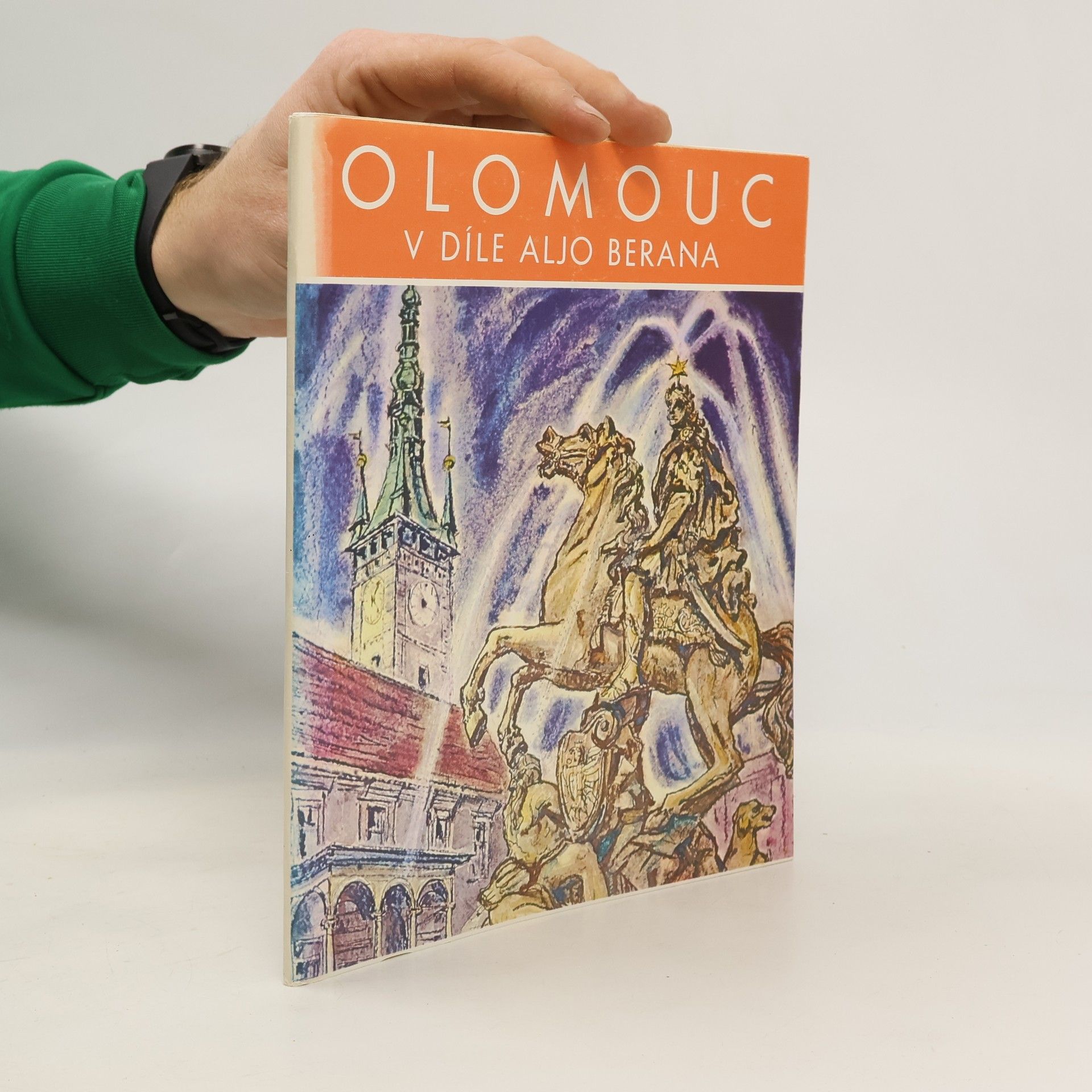 Kolektív autorov Olomouc v díle Aljo Berana