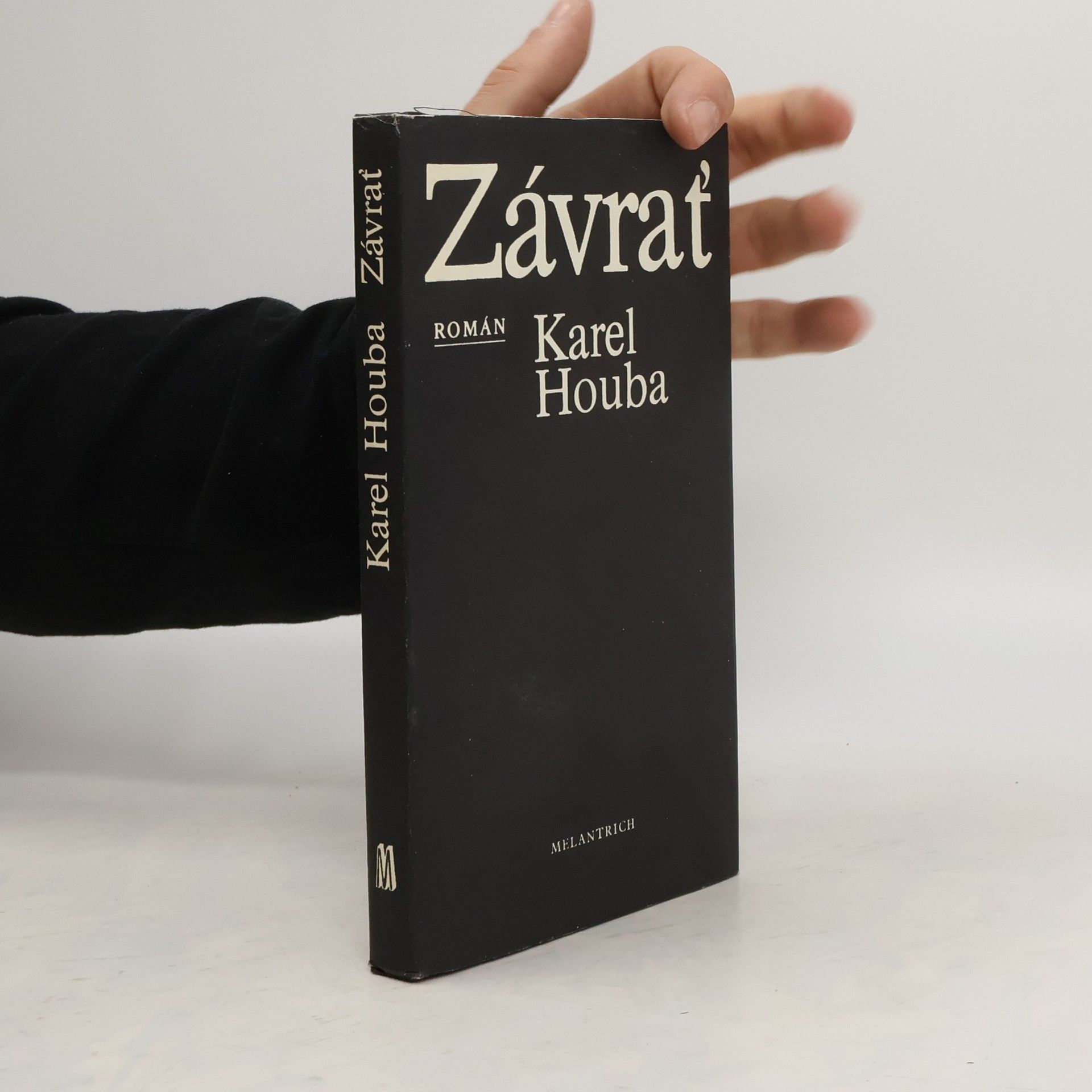 Karel Holub Závrať