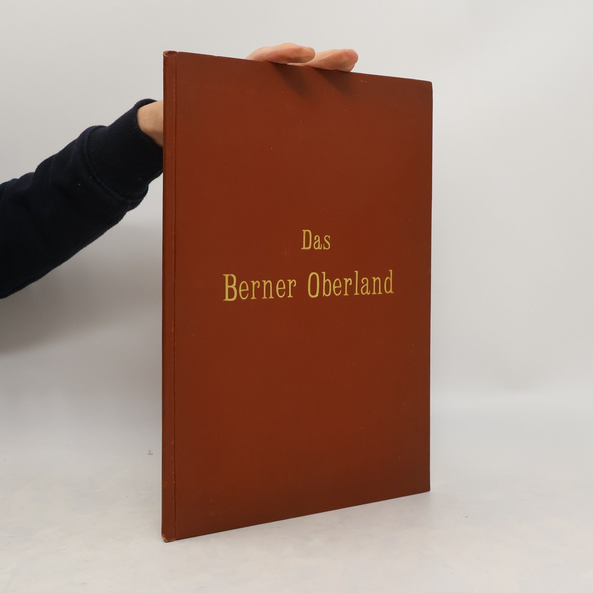 Autorenkollektiv Das Berner Oberland