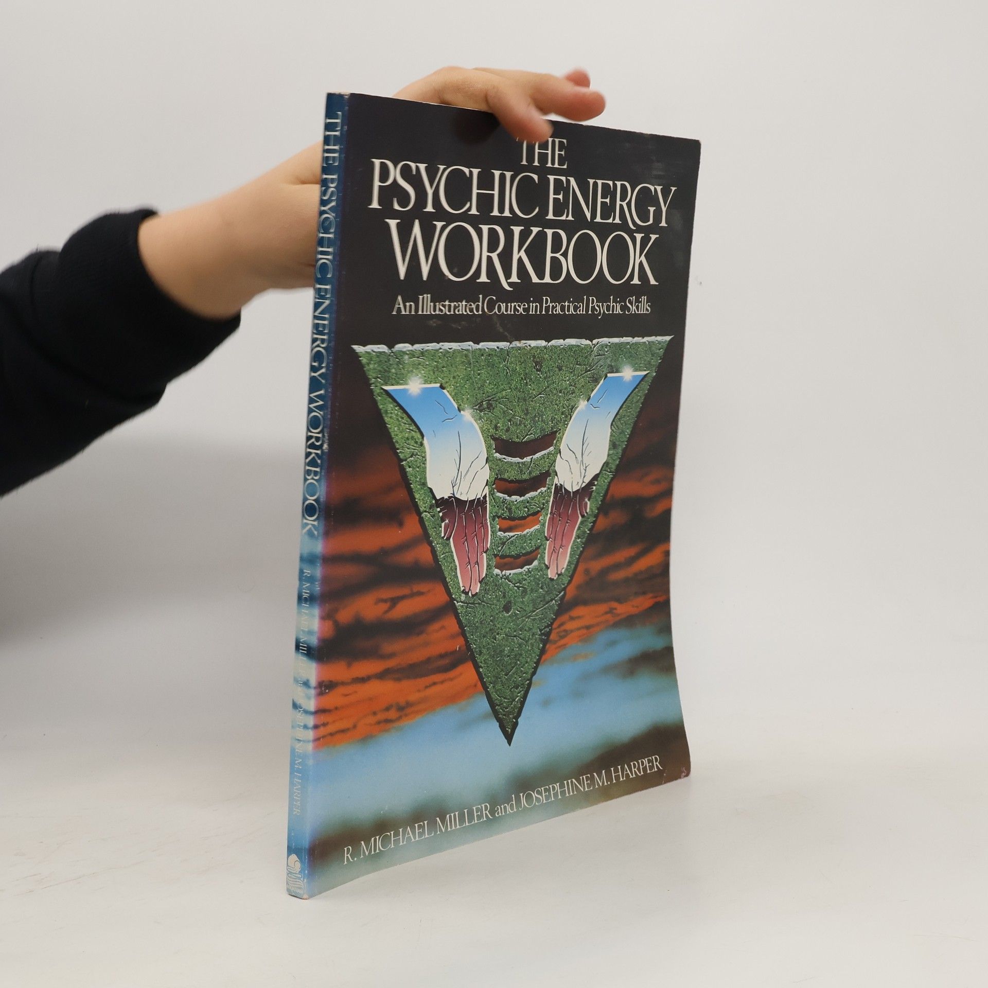 R. Michael Miller The Psychic Energy Workbook