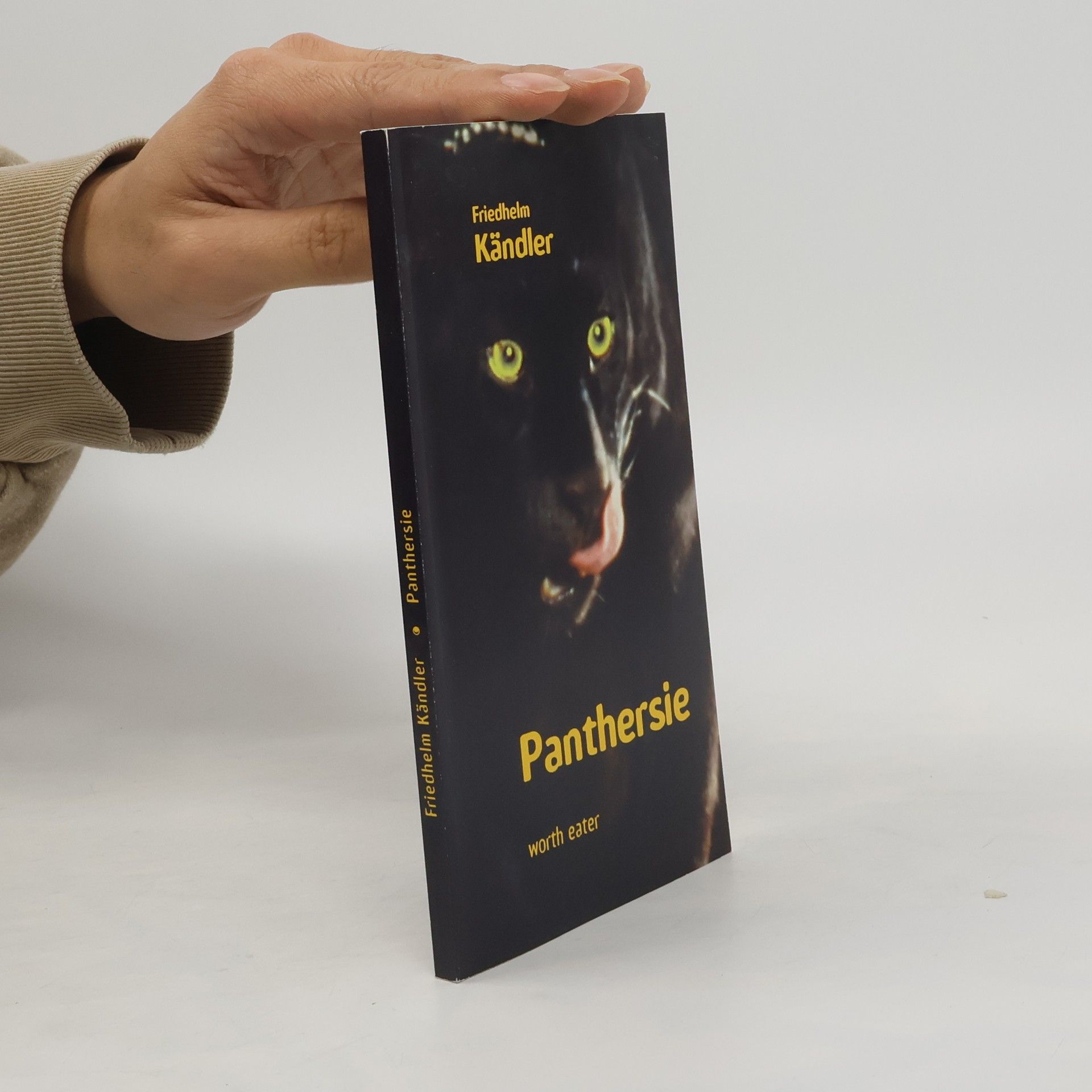 Friedhelm Kändler Panthersie