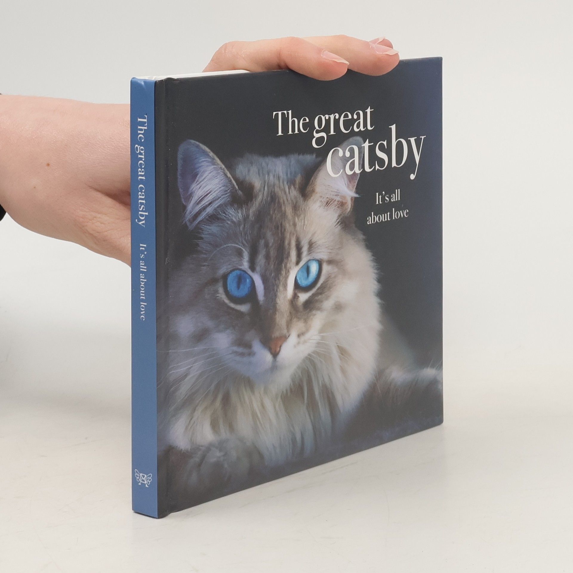 Kolektiv autorů The great catsby