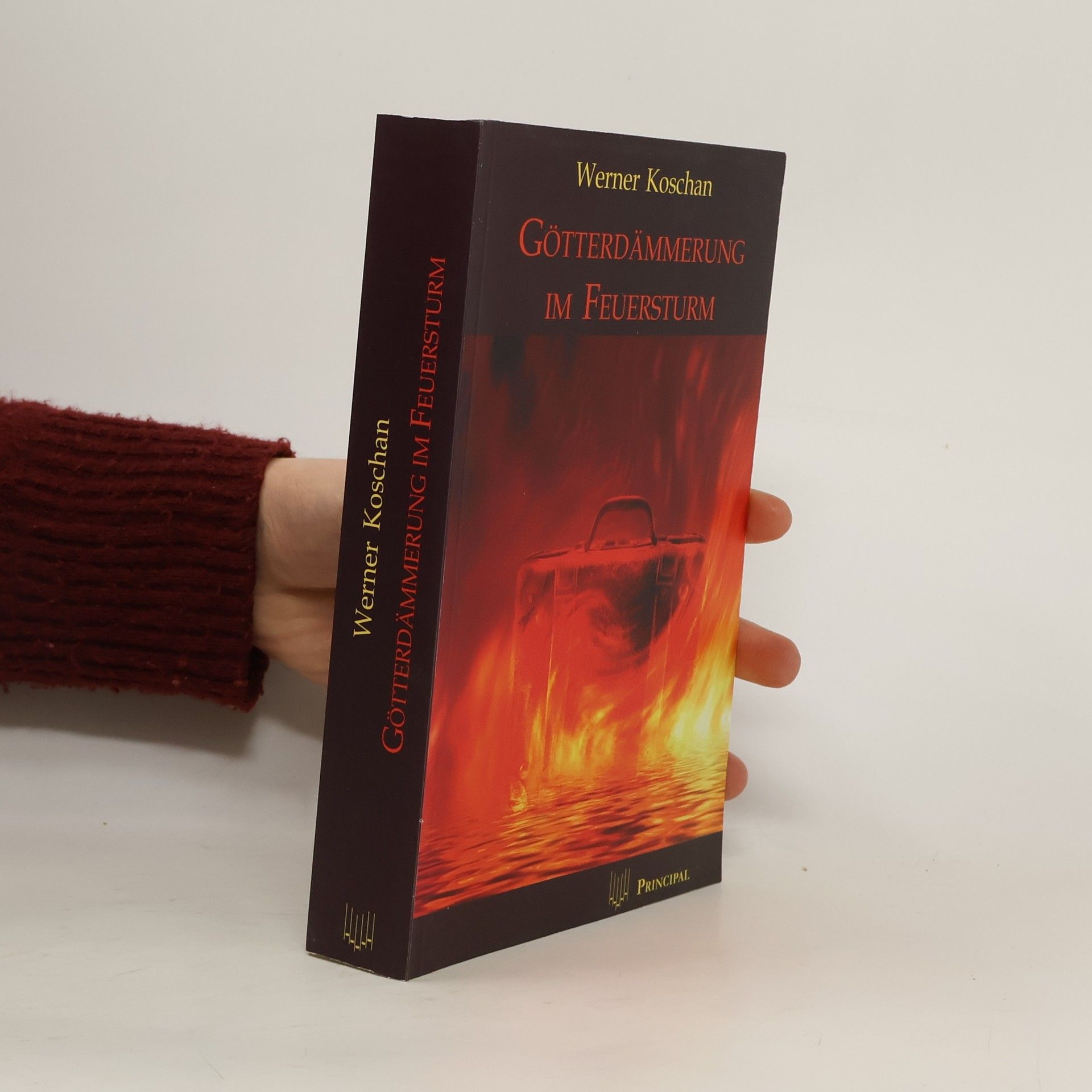 Werner Koschan Götterdämmerung im Feuersturm