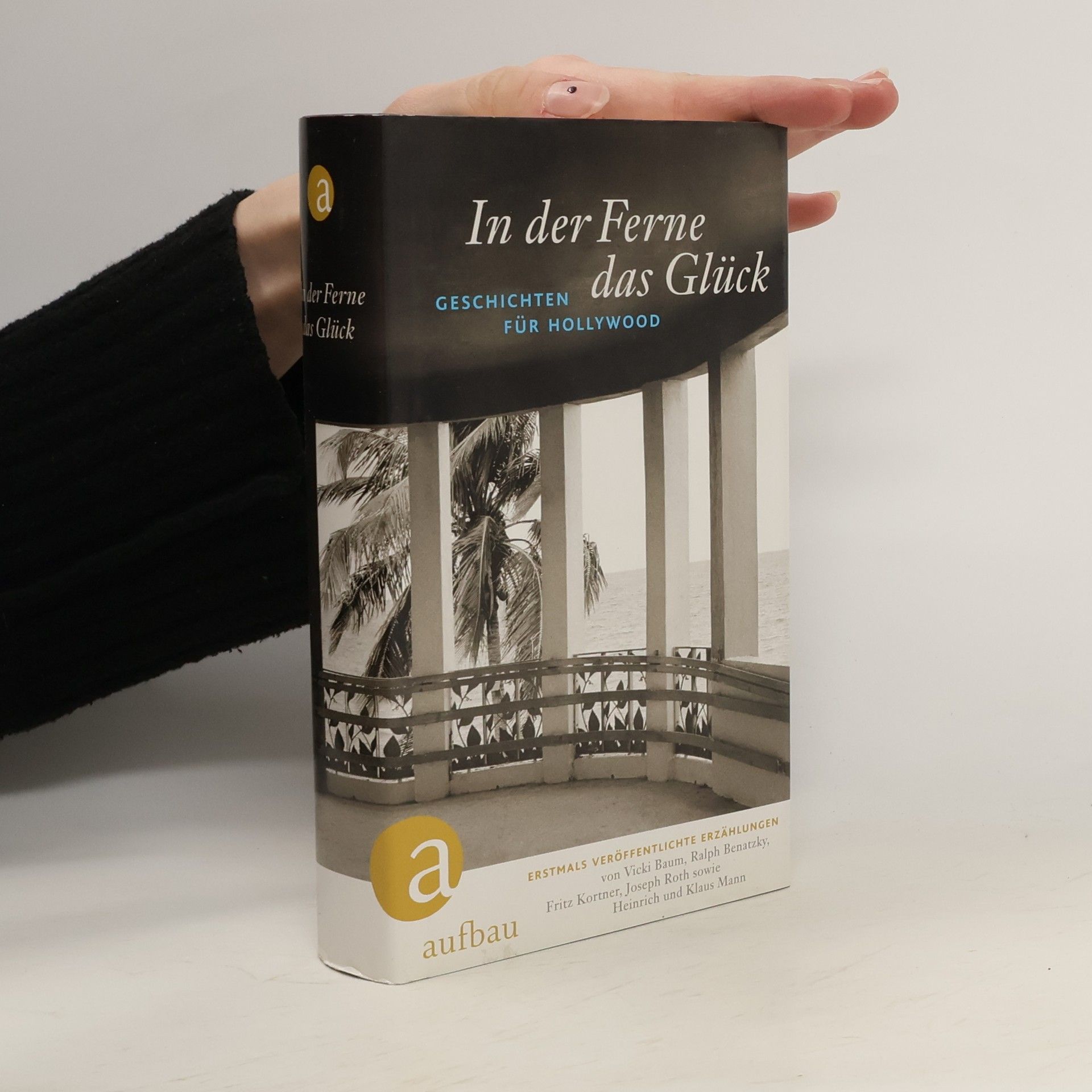 Collectif d'auteurs In der Ferne das Glück