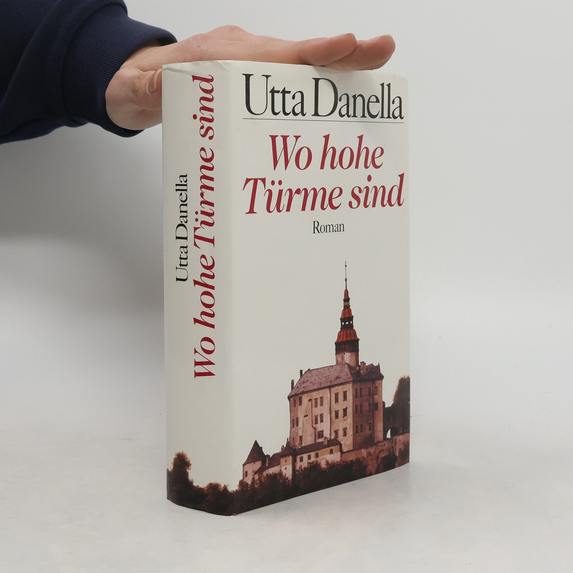 Utta Danella Wo hohe Türme sind