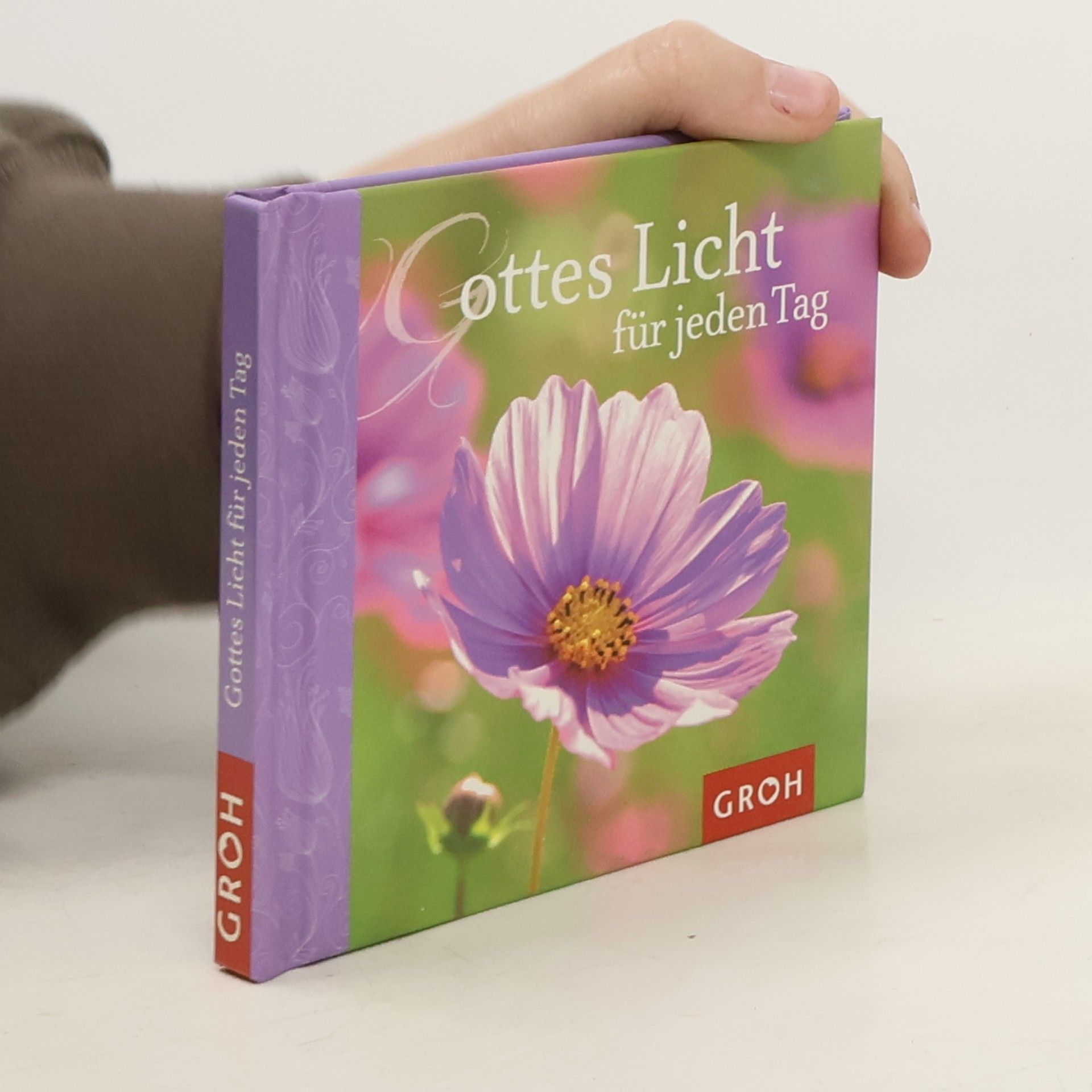 Gottes Licht für jeden Tag