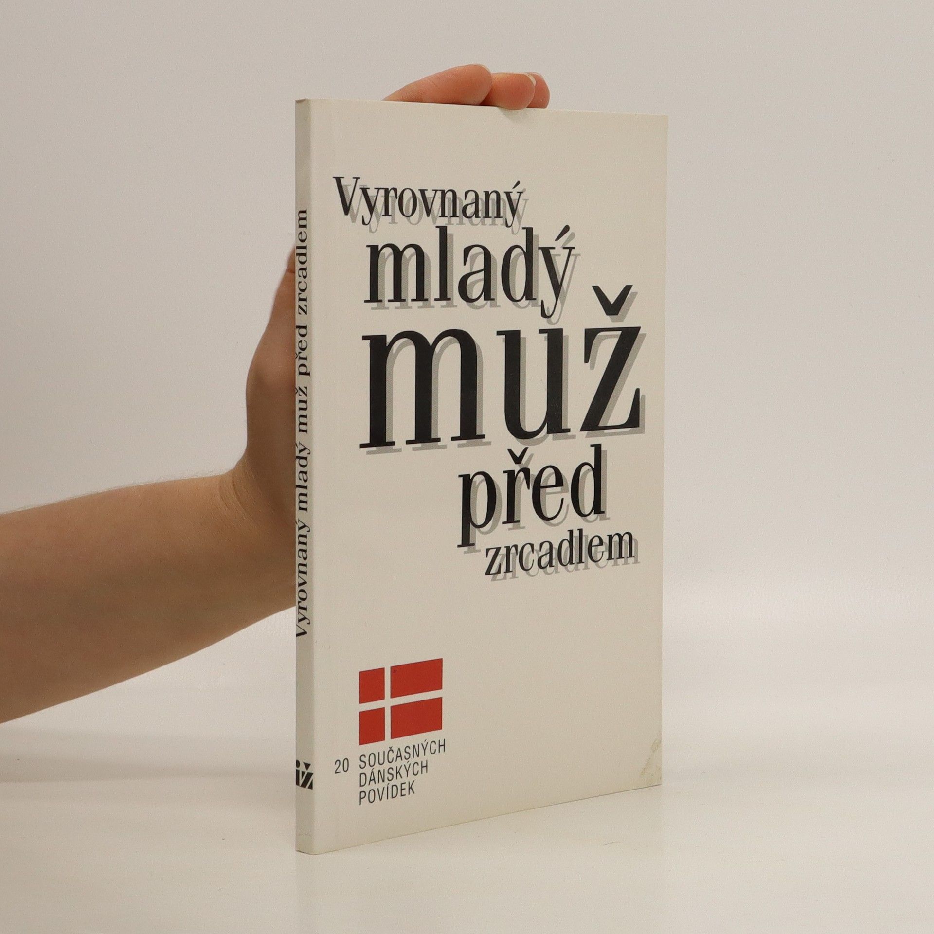 Lise Bostrup Vyrovnaný mladý muž před zrcadlem : dvacet současných dánských povídek