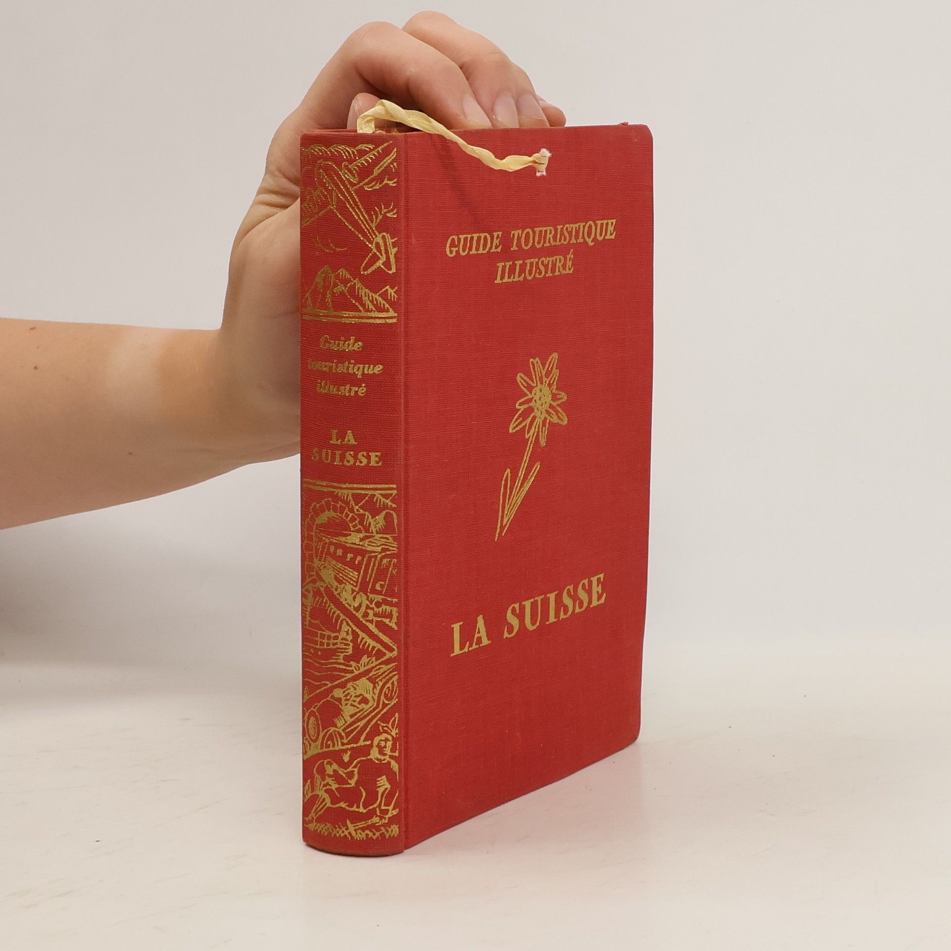 Collectif d'auteurs Guide touristique illustré. La Suisse