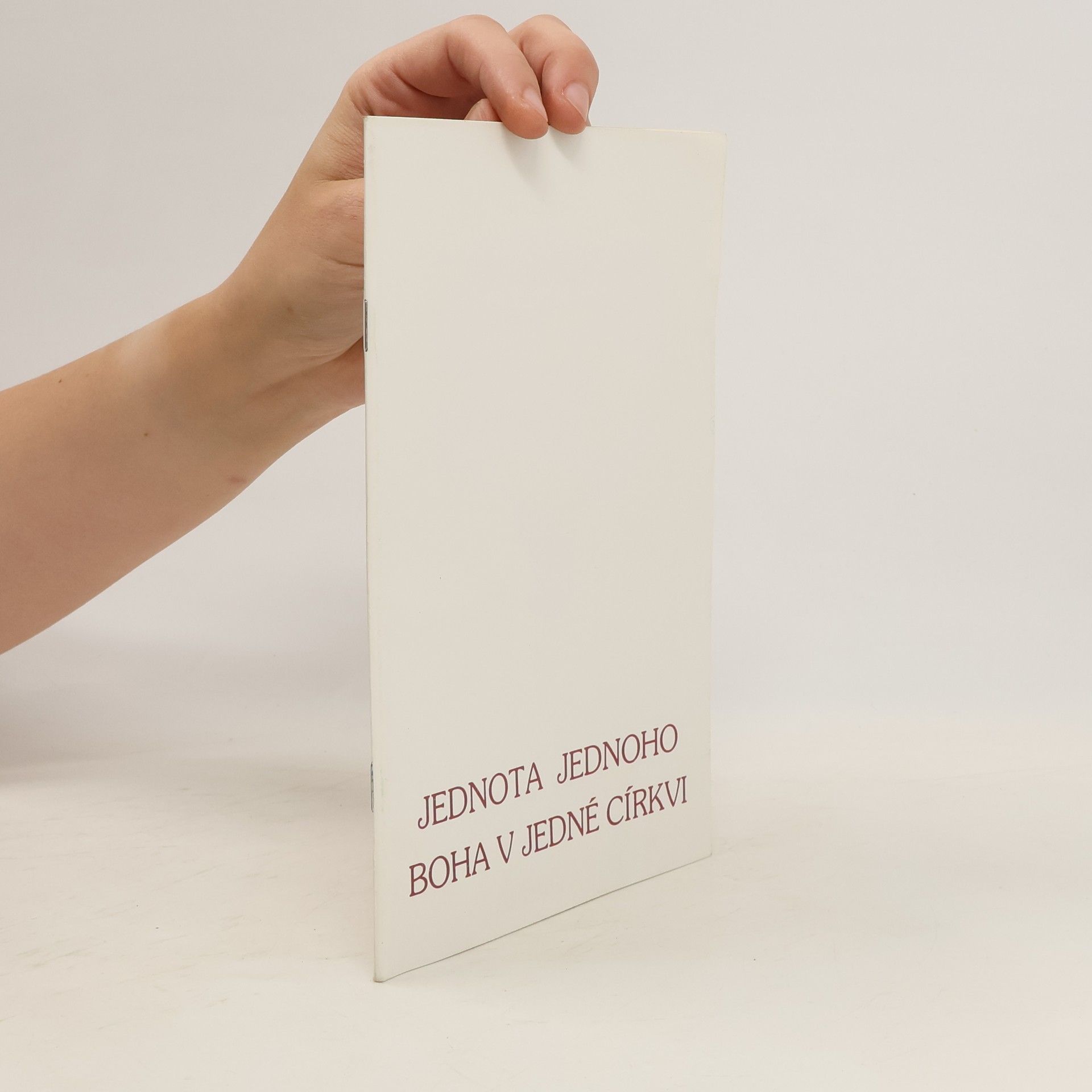 Kolektiv autorů Jednota jednoho boha v jedné církvi