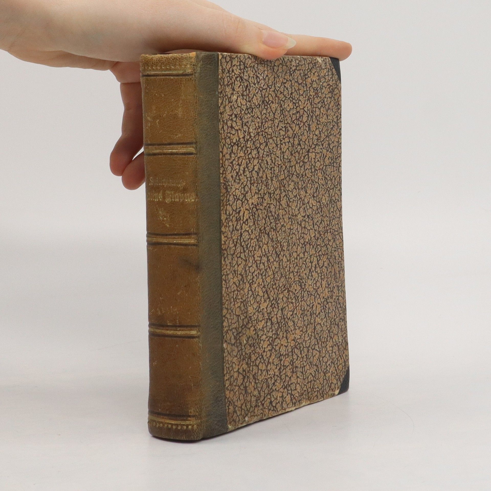 Lucius Flavus Gesammelte Romane und Erzählungen 2