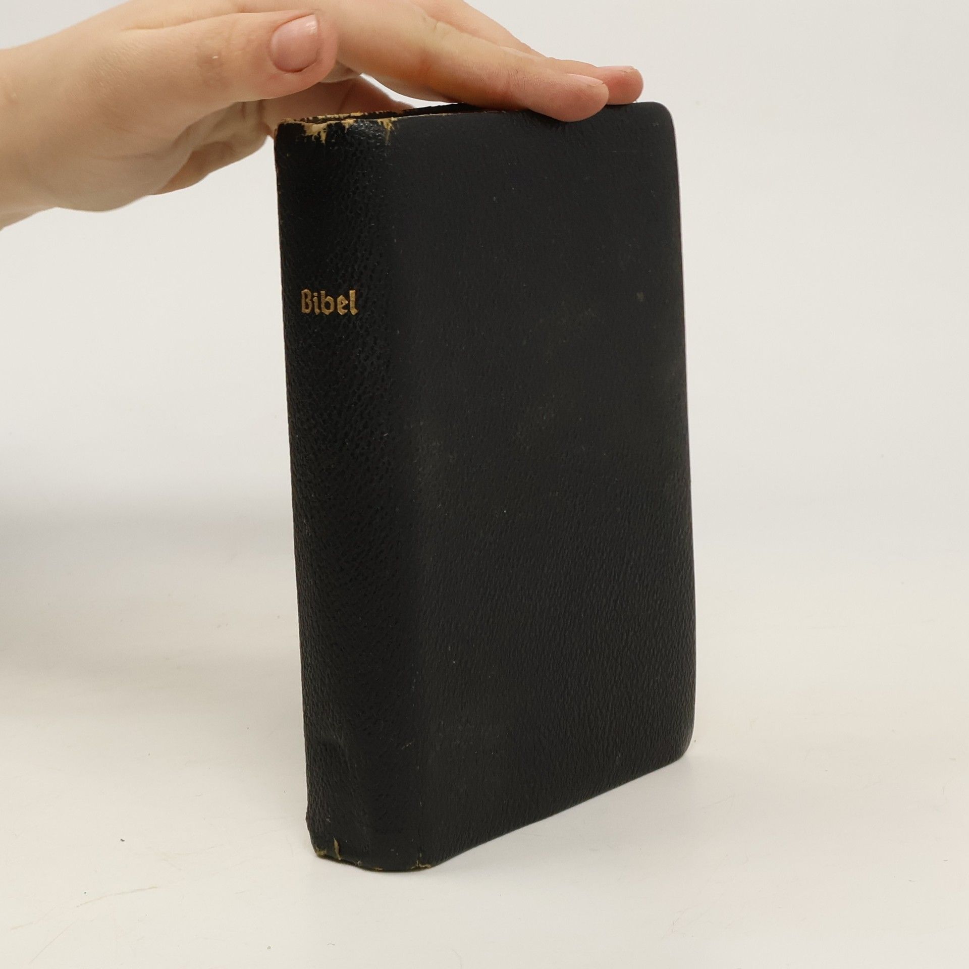 Martin Luther Bibel