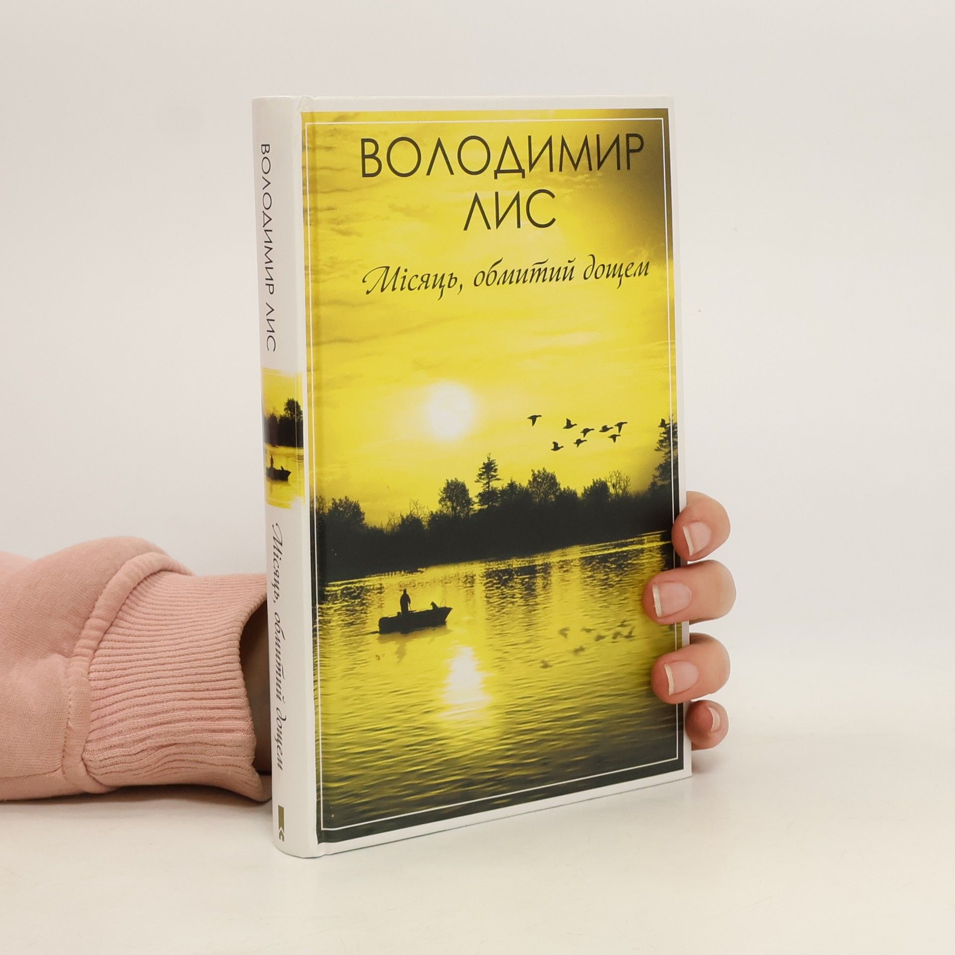 Володимир Лис Місяць, обмитий дощем