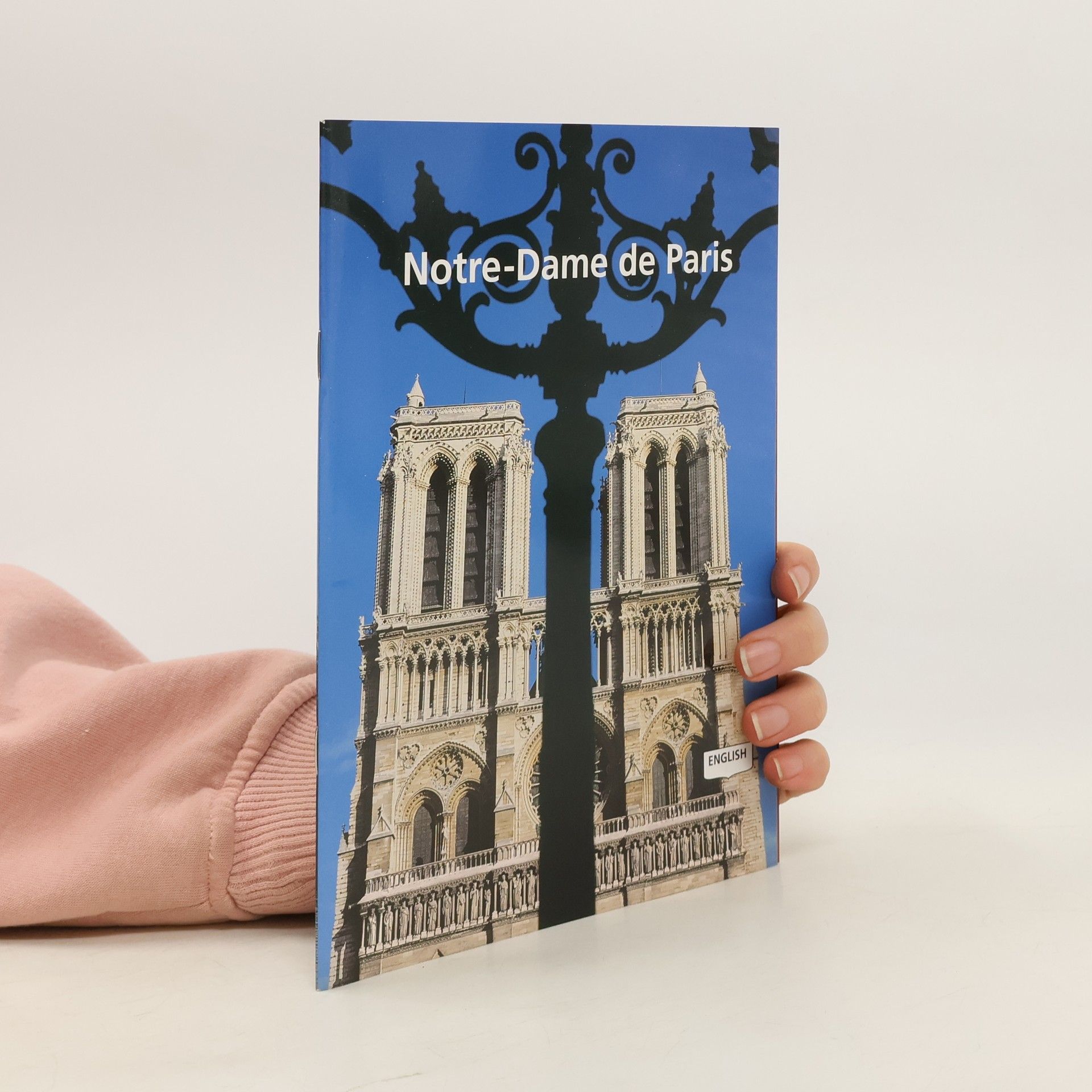 Collectif d'auteurs Notre-Dame de Paris