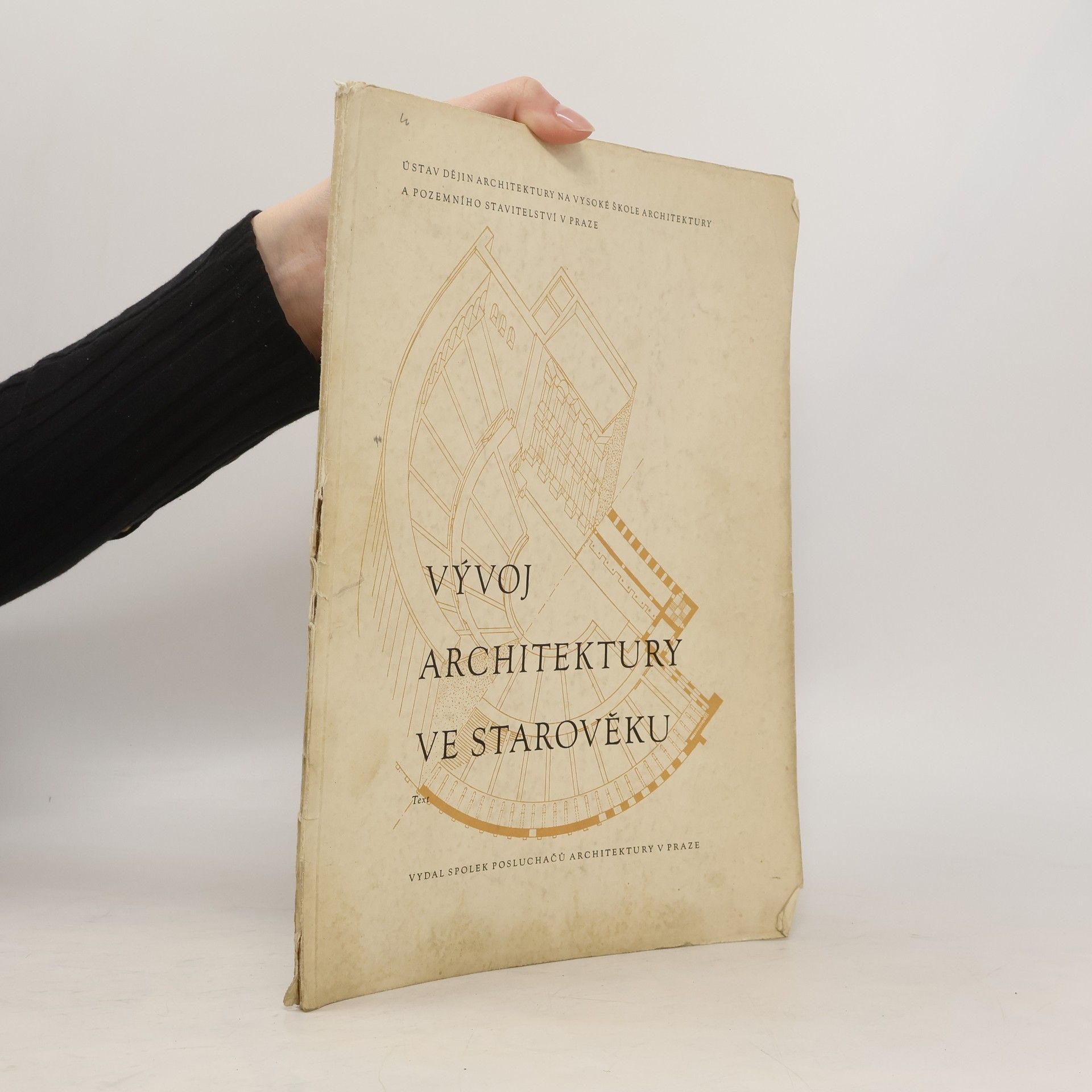 Kolektiv autorů Vývoj architektury ve starověku