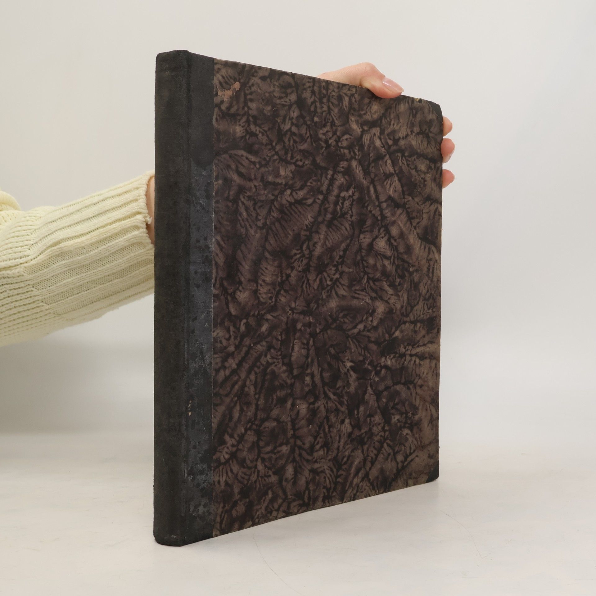 Auteurscollectief Radiojournal 1935