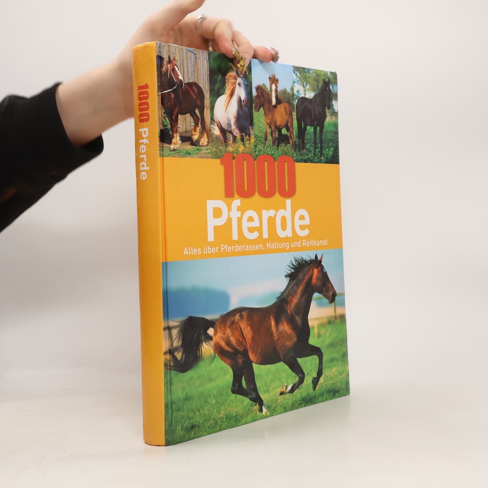 Autorenkollektiv 1000 Pferde